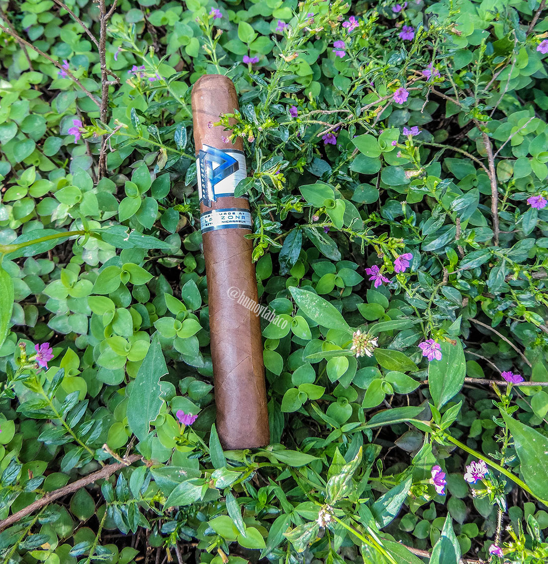 Cubariqueño - Protocol 01