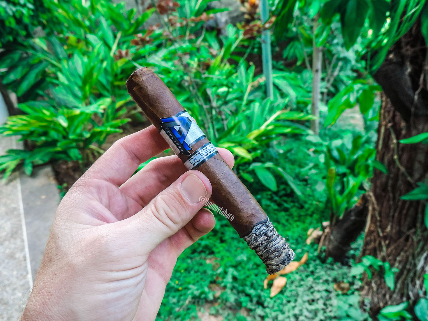 Cubariqueño - Protocol 03