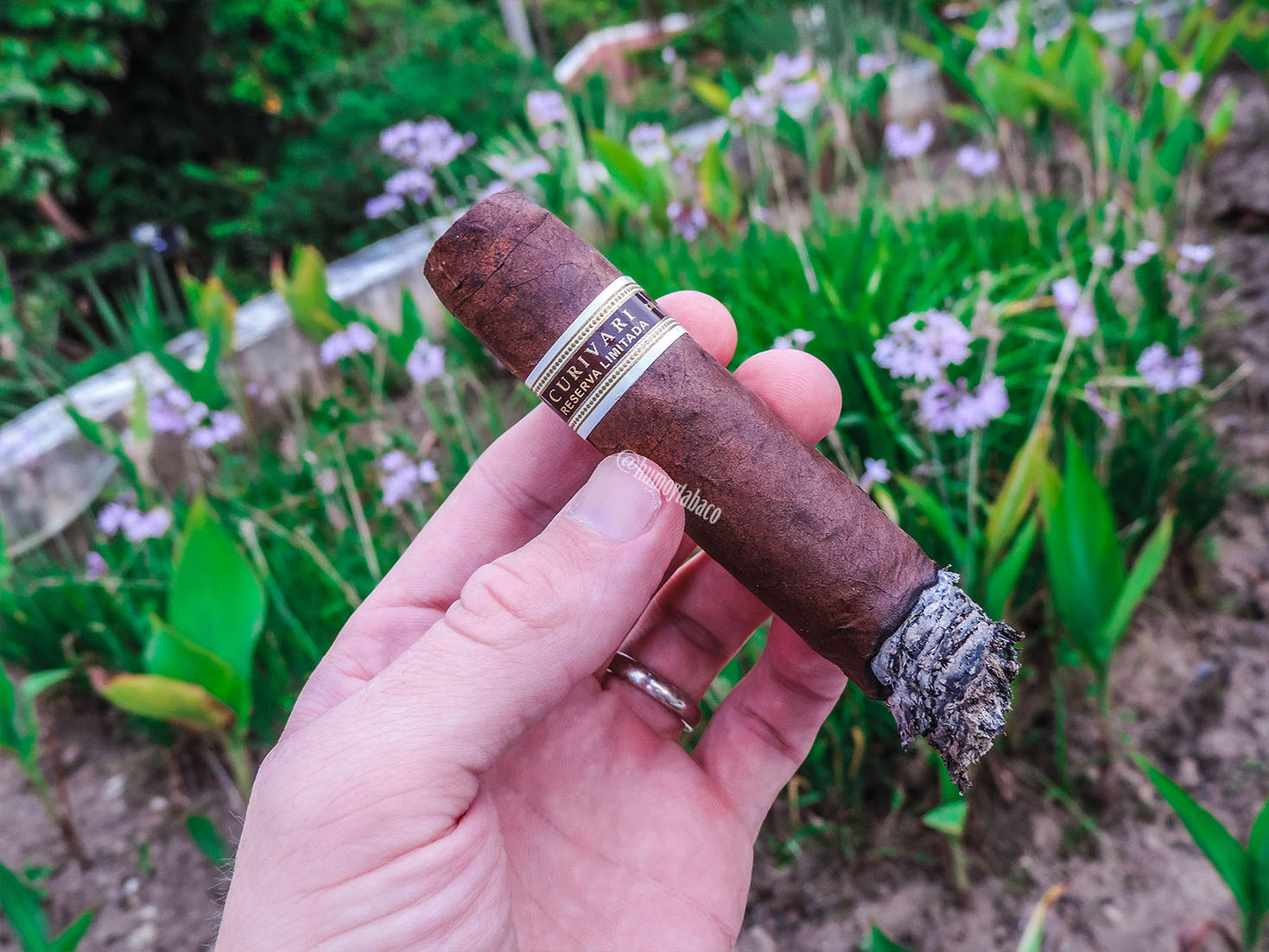 Curivari - Reserva Limitada Cafe Noir 04