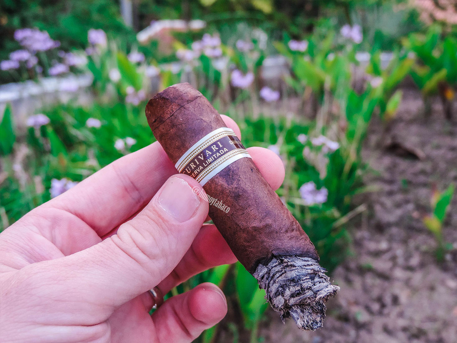 Curivari - Reserva Limitada Cafe Noir 05