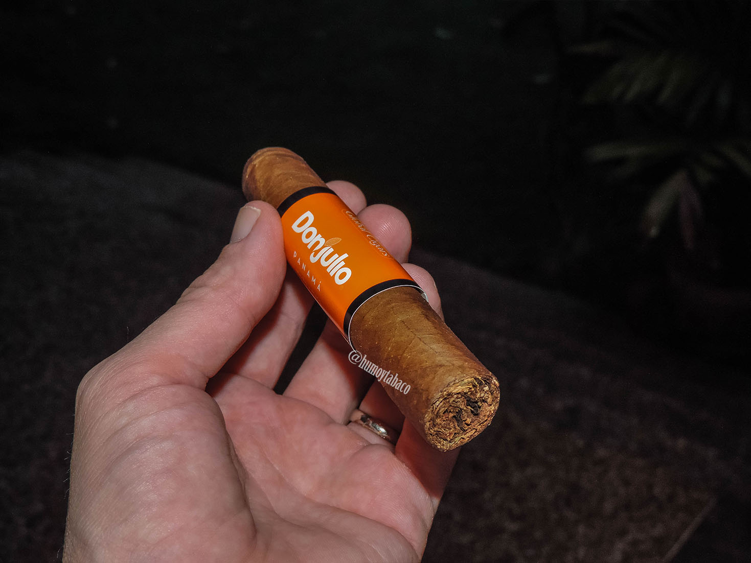 Don Julio - Robusto 01