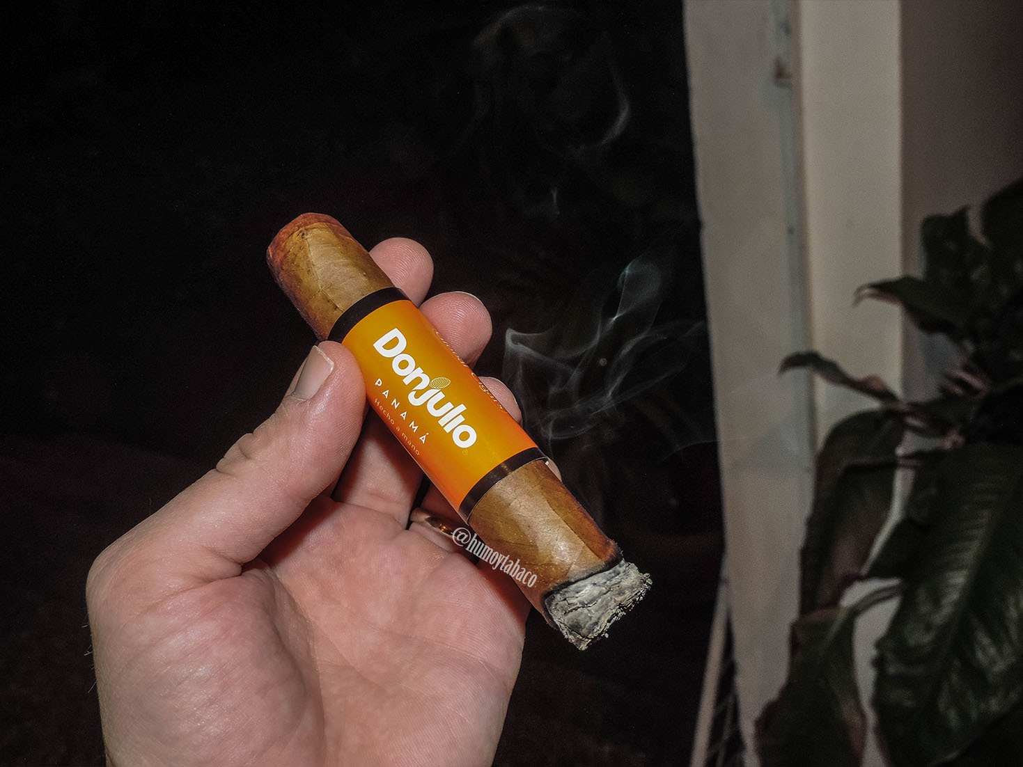 Don Julio - Robusto 02