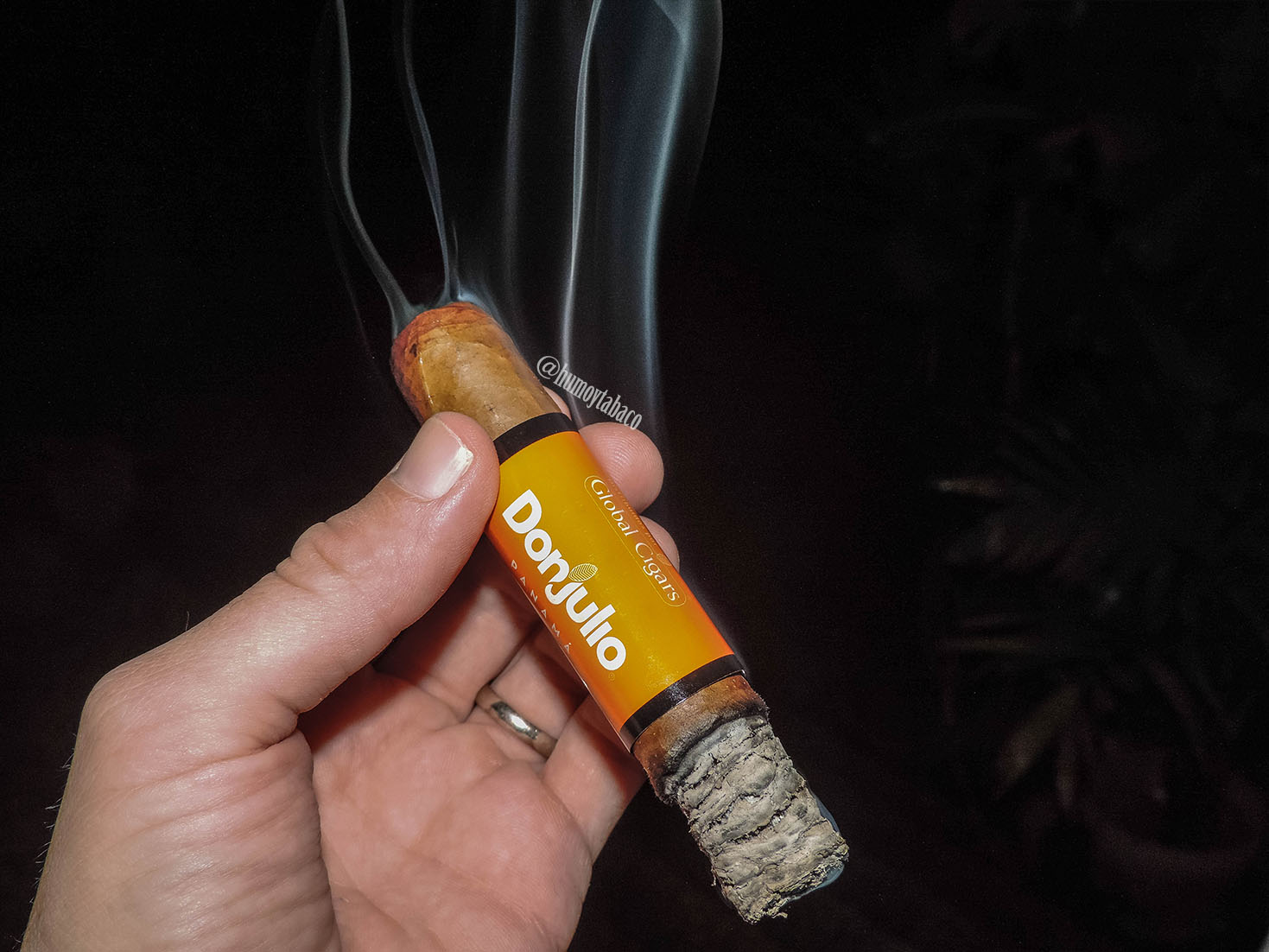 Don Julio - Robusto 03