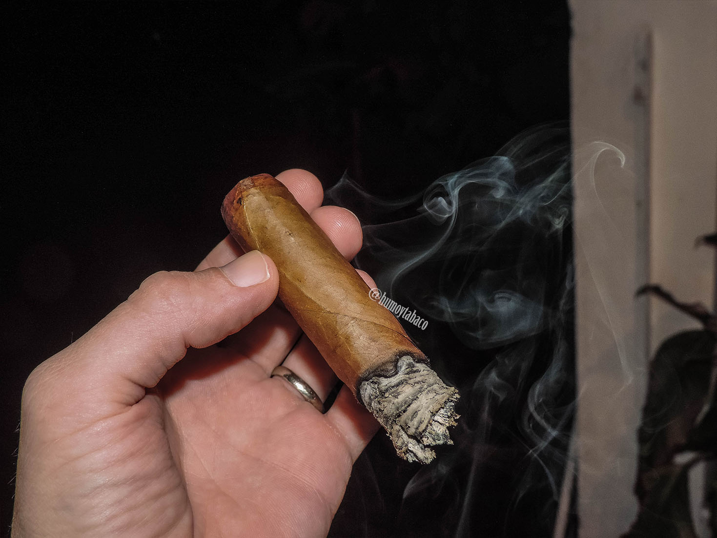 Don Julio - Robusto 04