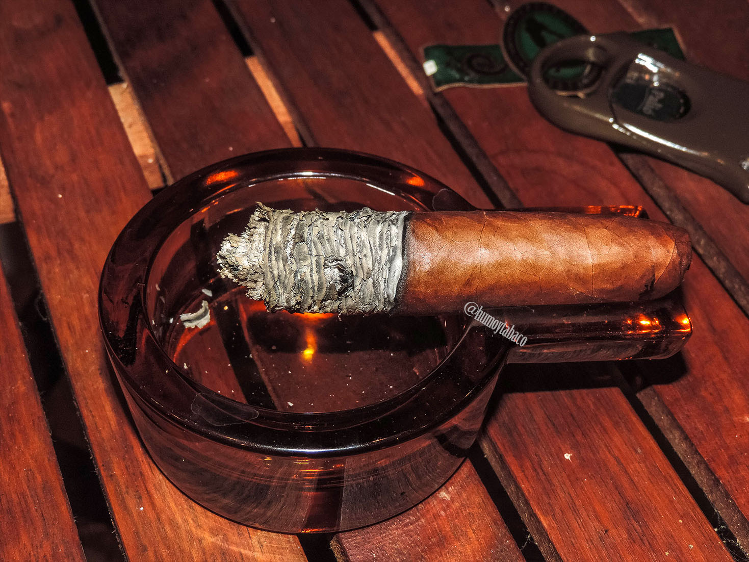 La Flor Dominicana - Andalusian Bull 06