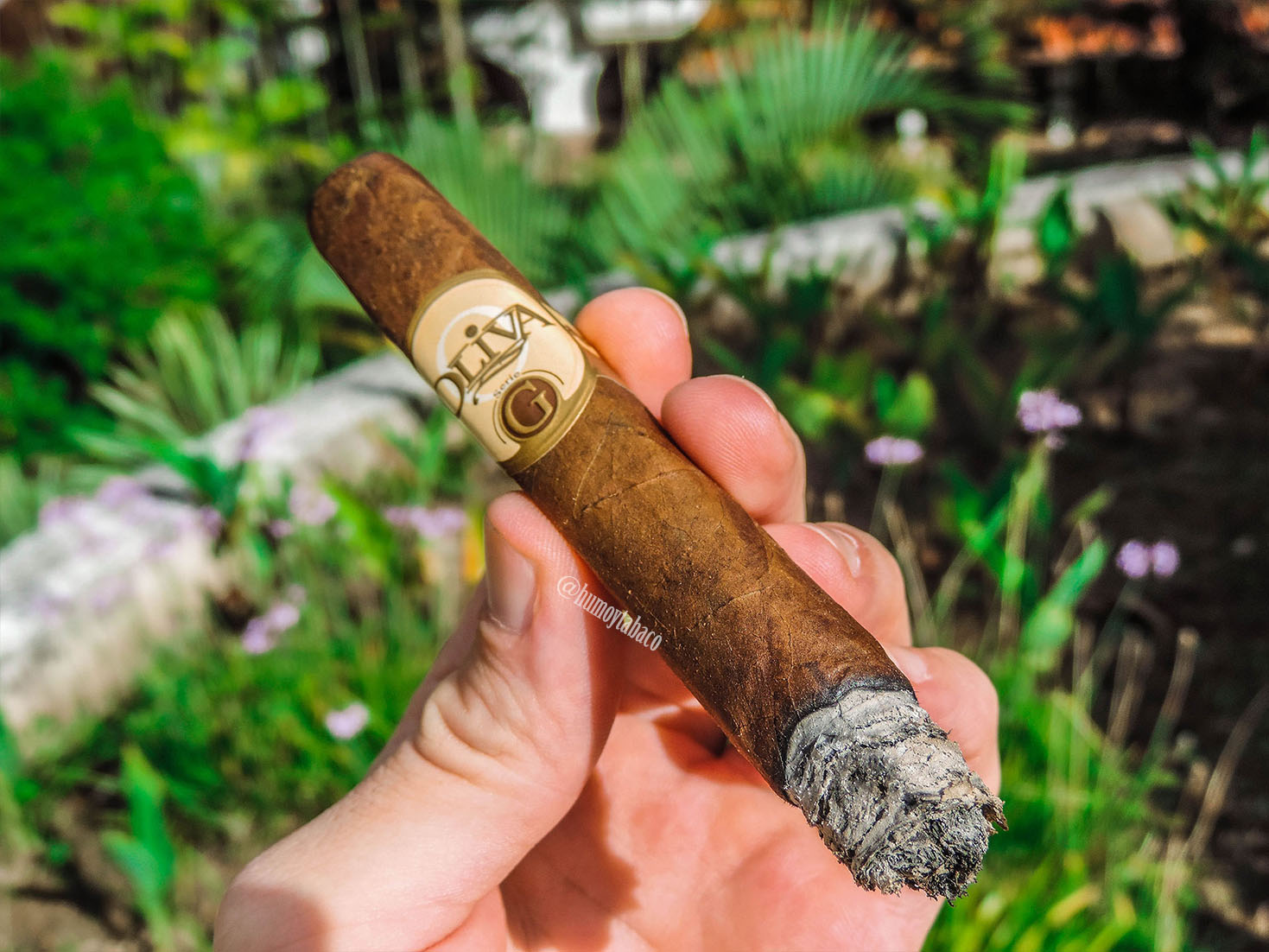 Oliva - Serie G 03