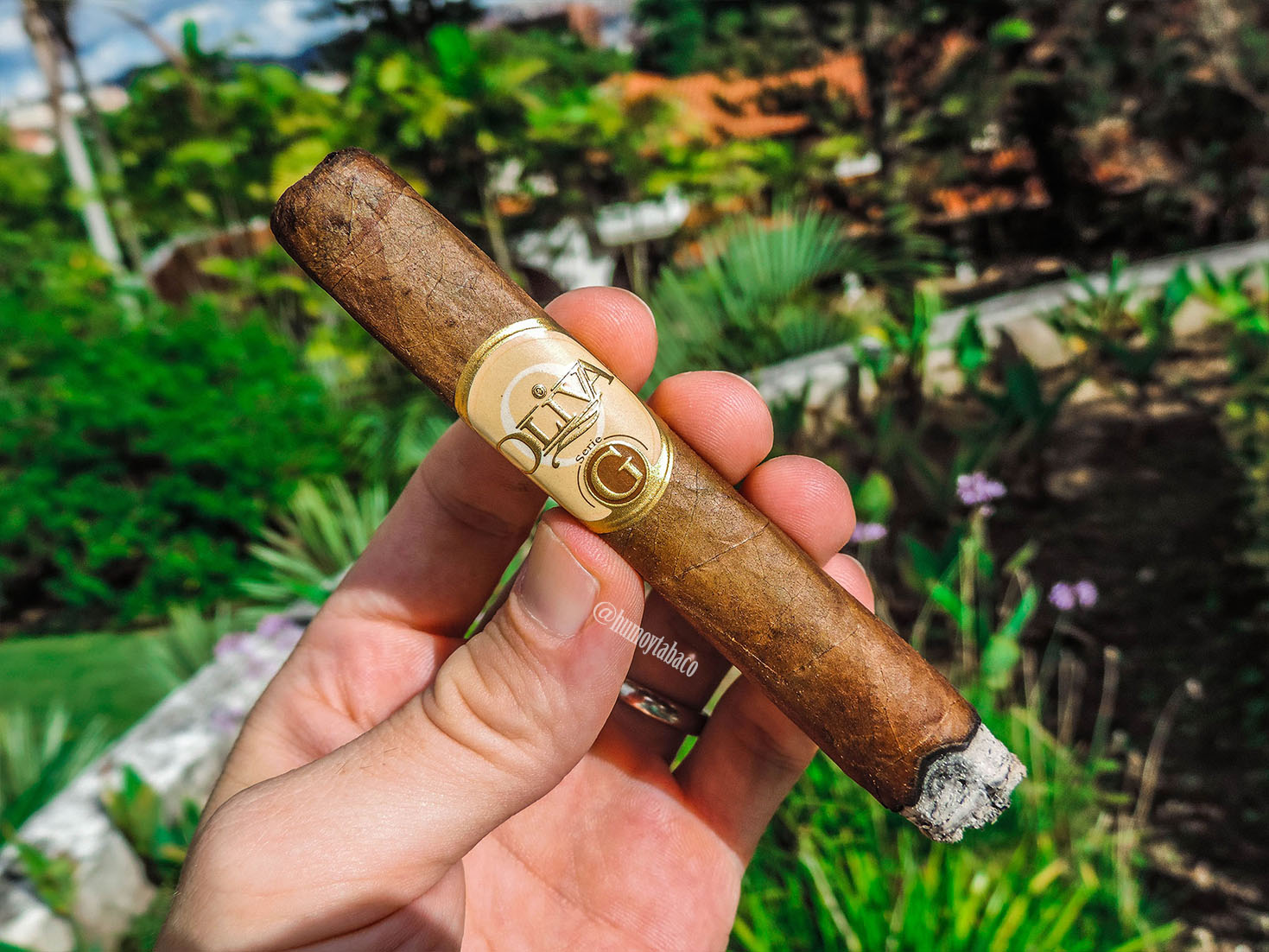 Oliva - Serie G 04