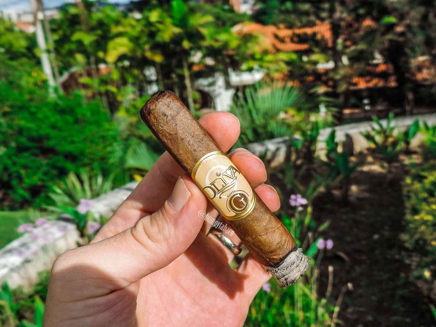 Oliva - Serie G 05