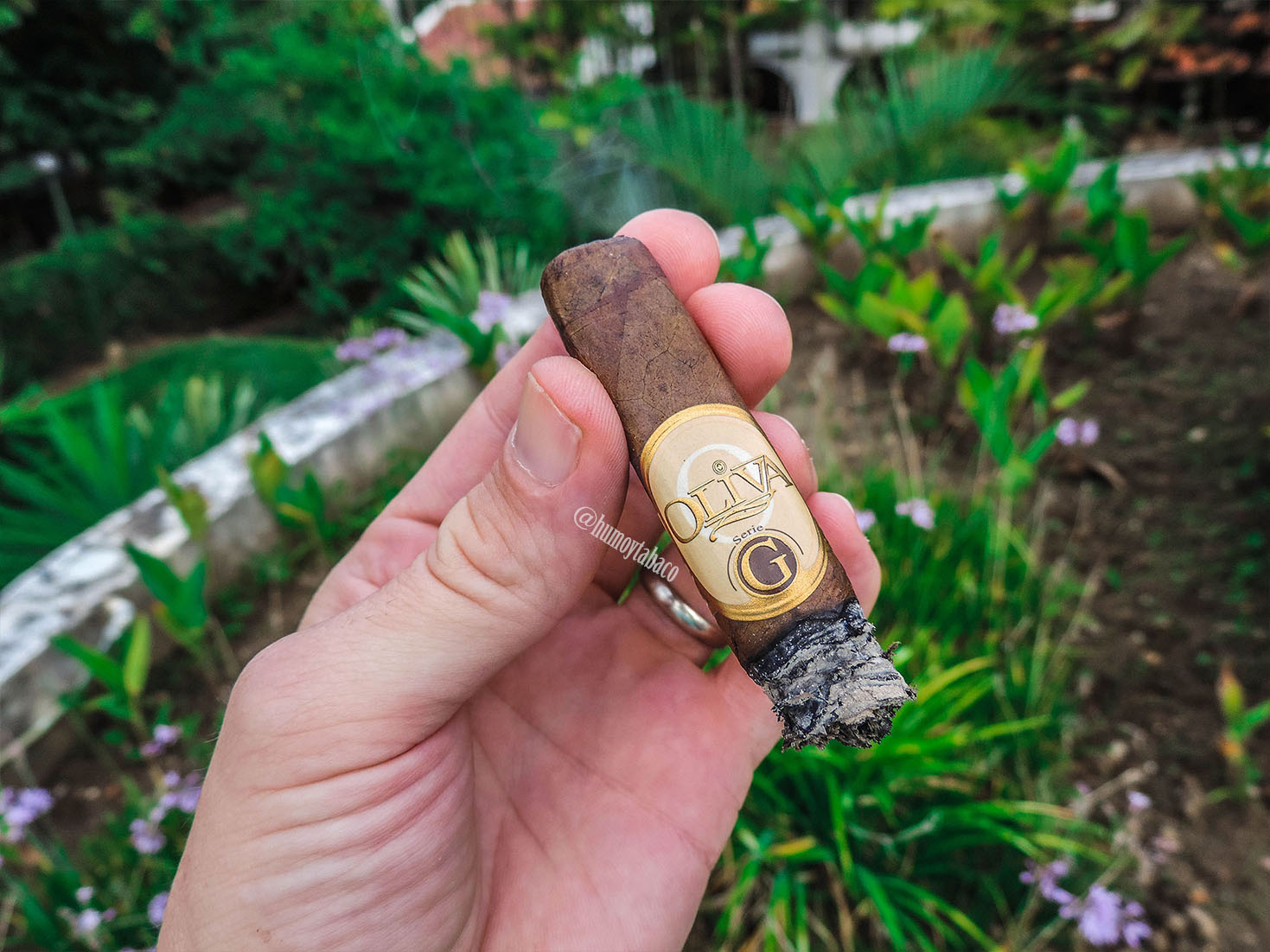 Oliva - Serie G 06