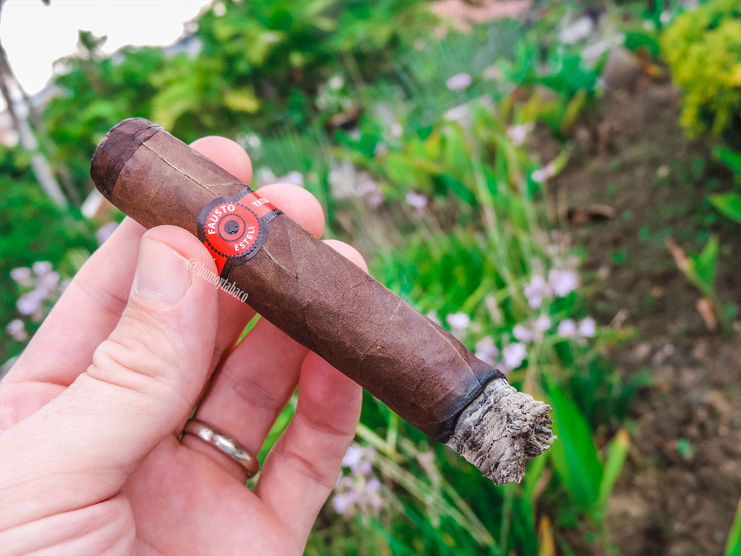 Tatuaje - Fausto 04
