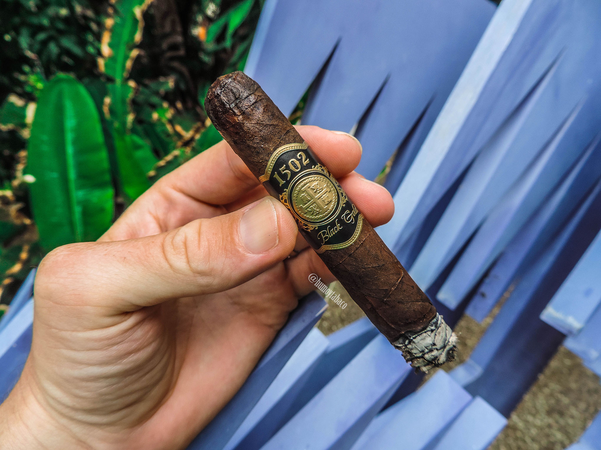 1502 - Black Gold 04