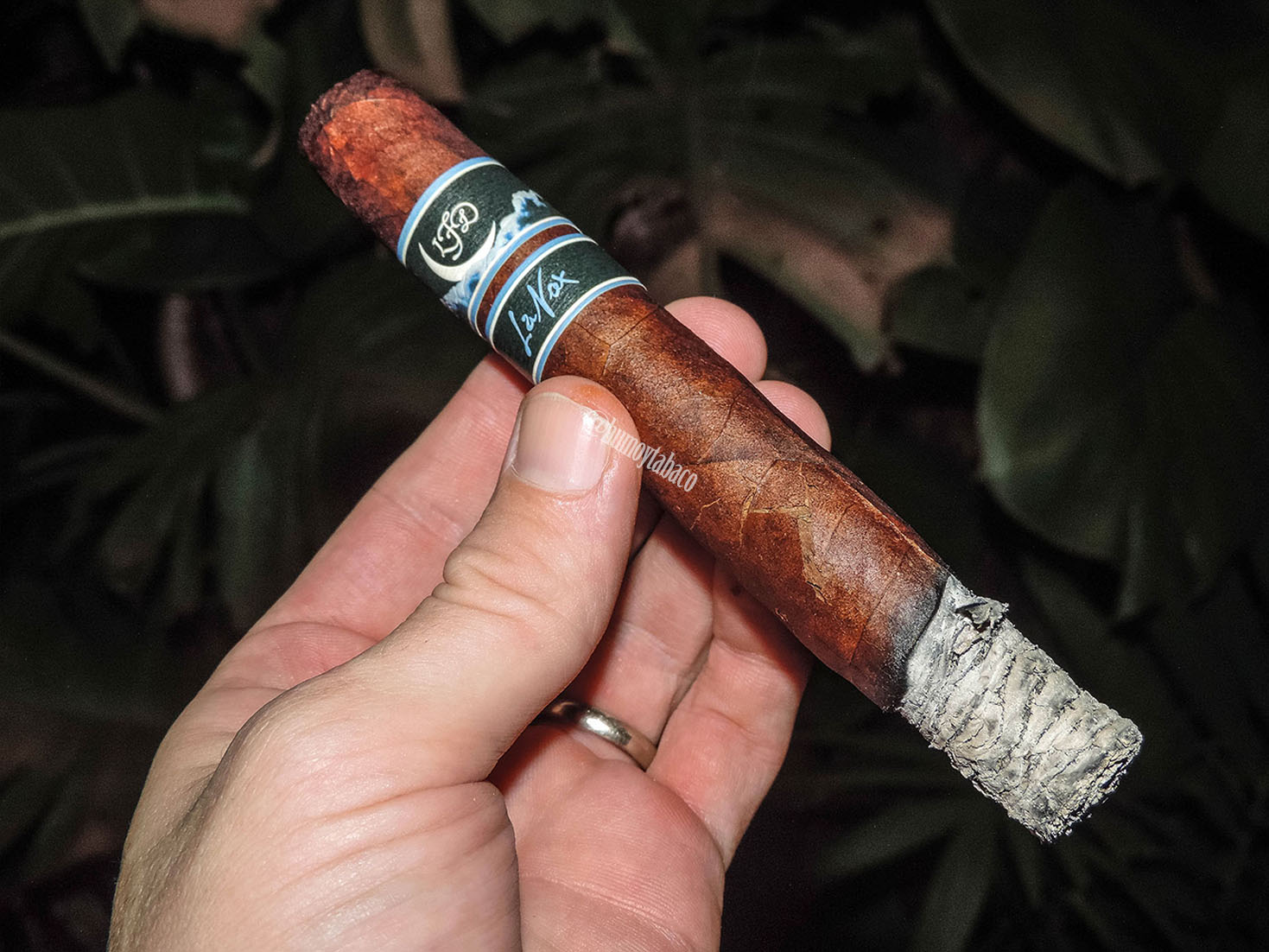La Flor Dominicana - La Nox 03