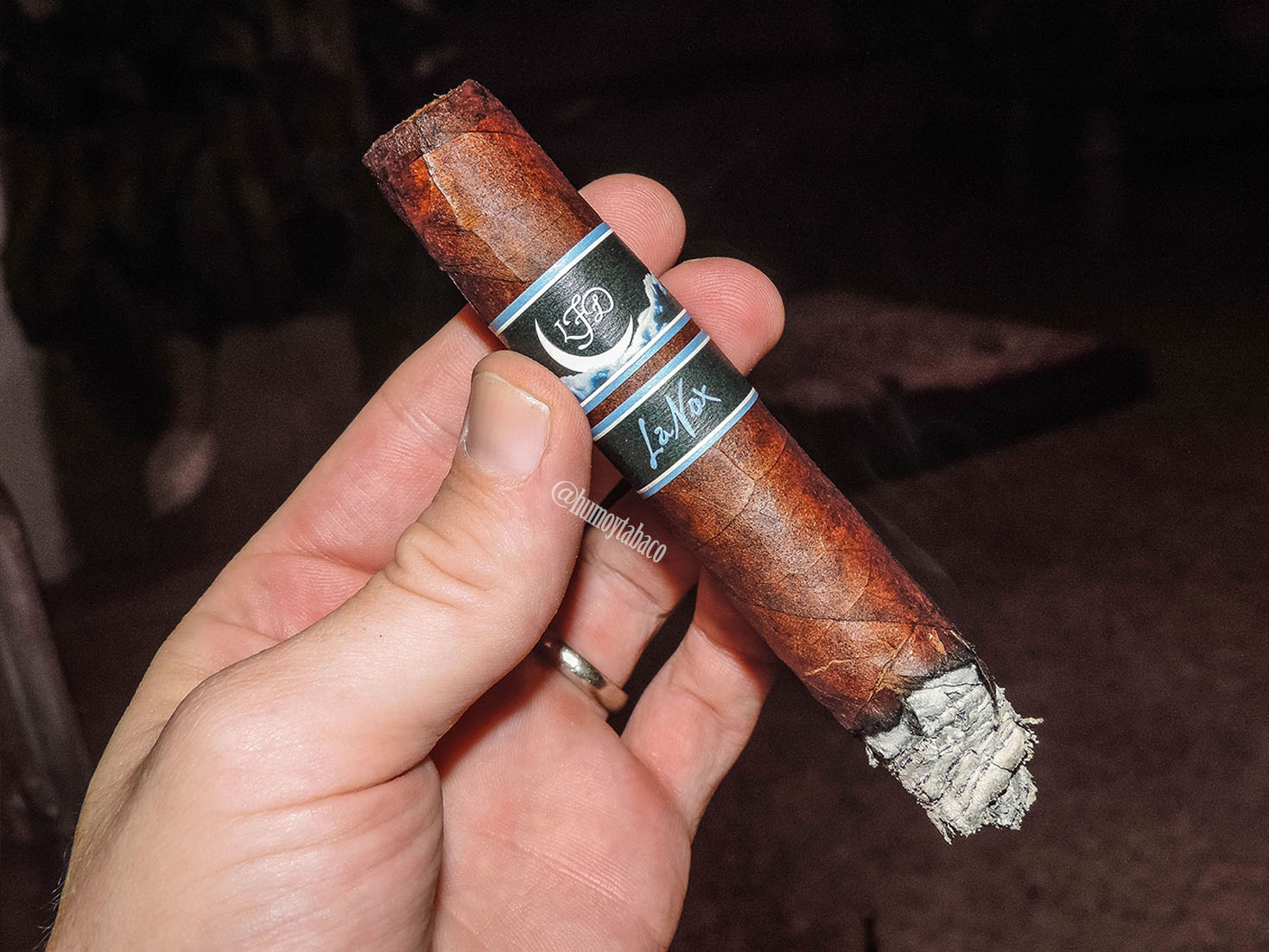 La Flor Dominicana - La Nox 04