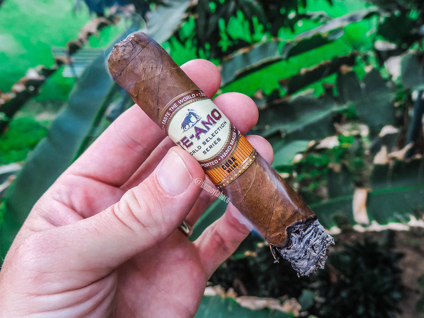 Te-Amo - World Selection Series - Cuba 03