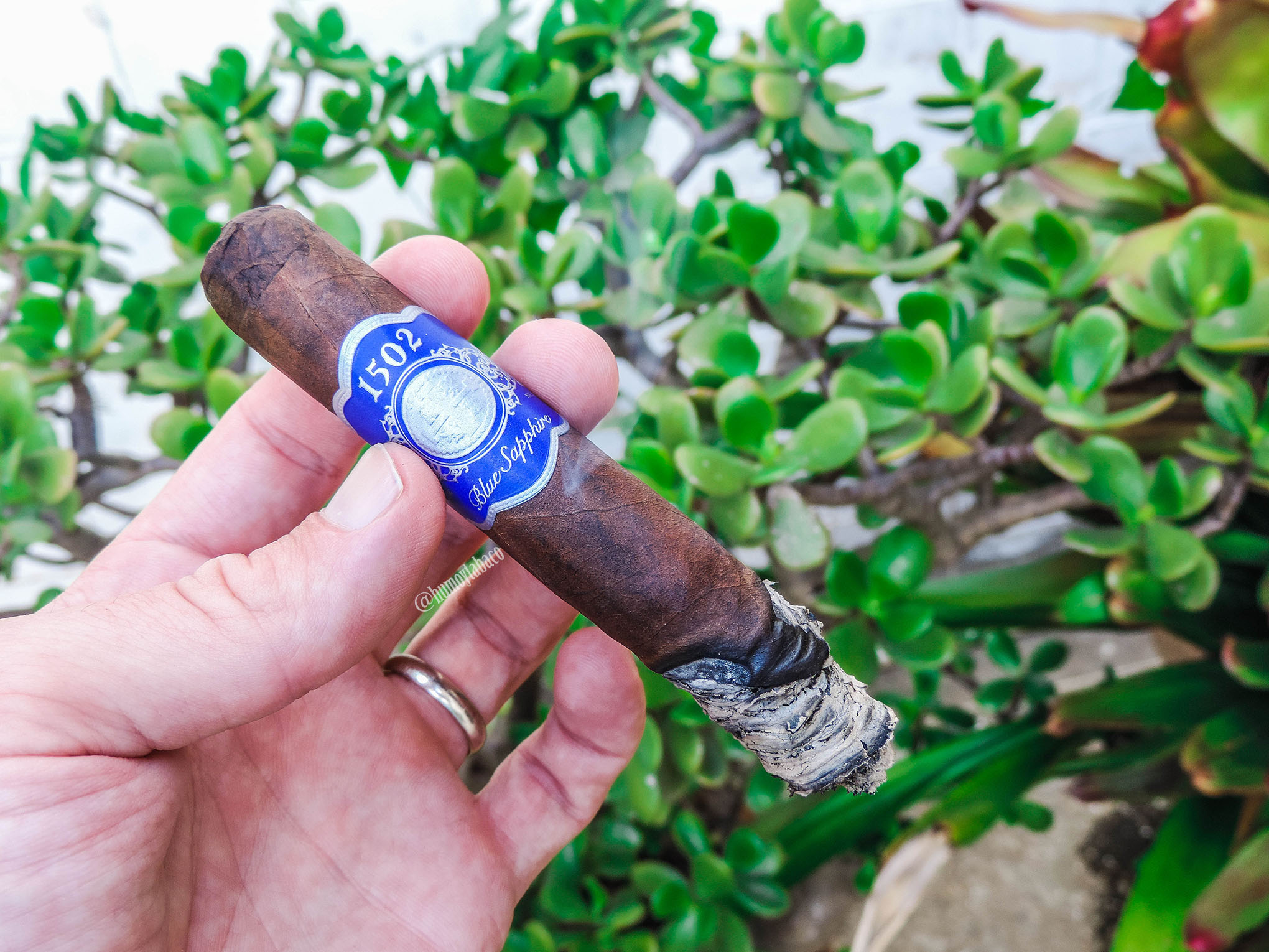 1502 - Blue Sapphire 04