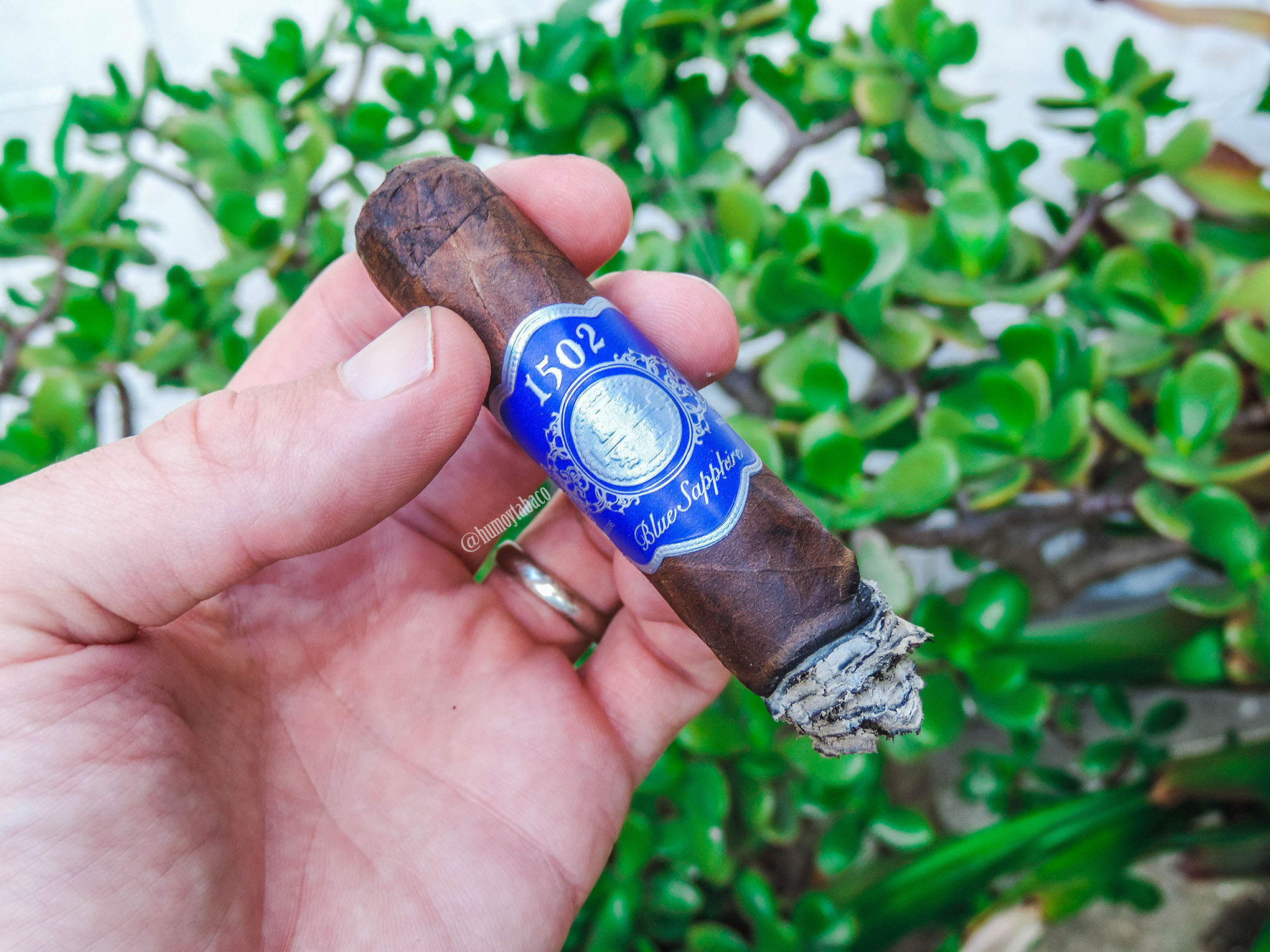 1502 - Blue Sapphire 05