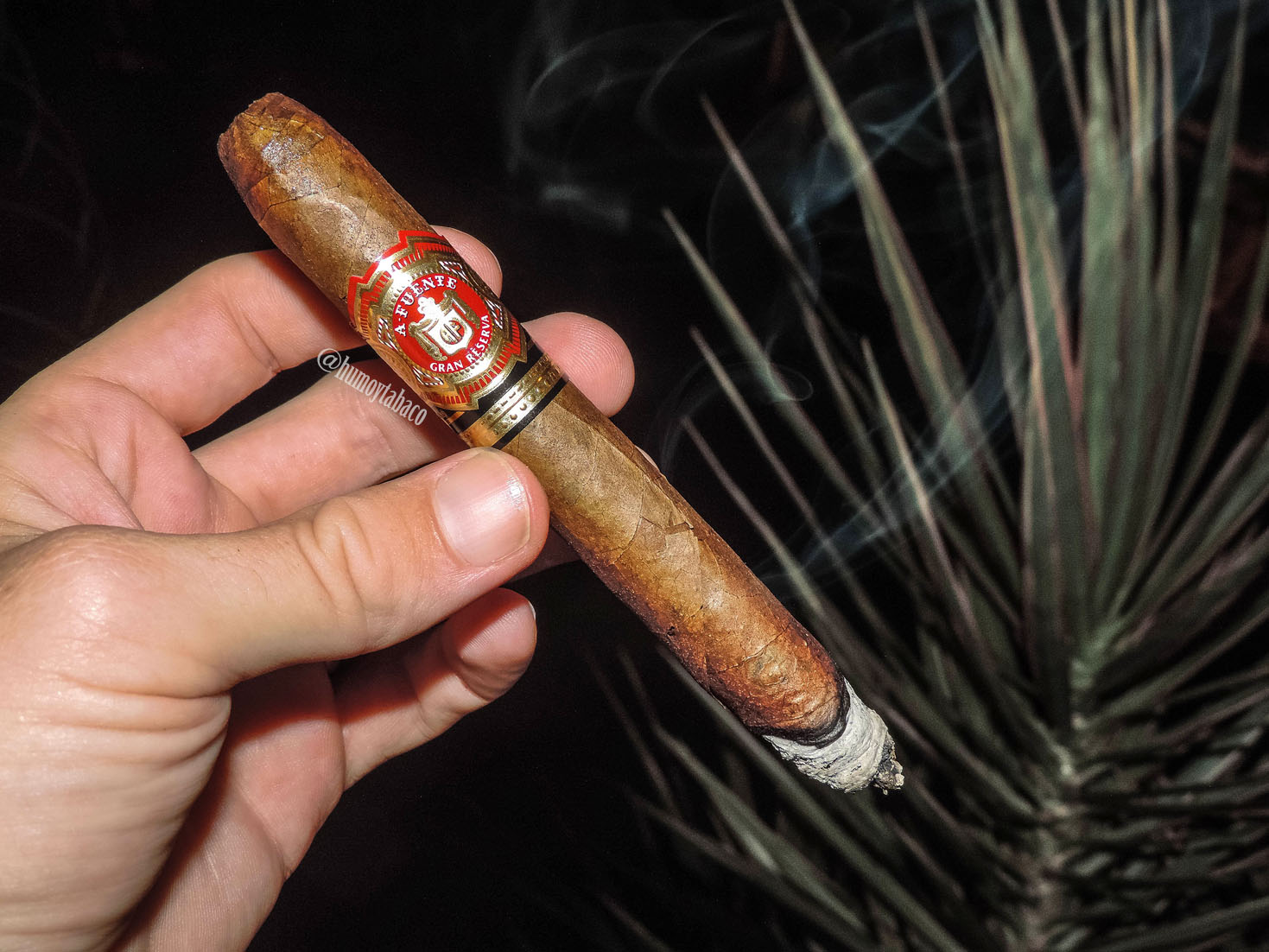 Arturo Fuente - Hemingway 02