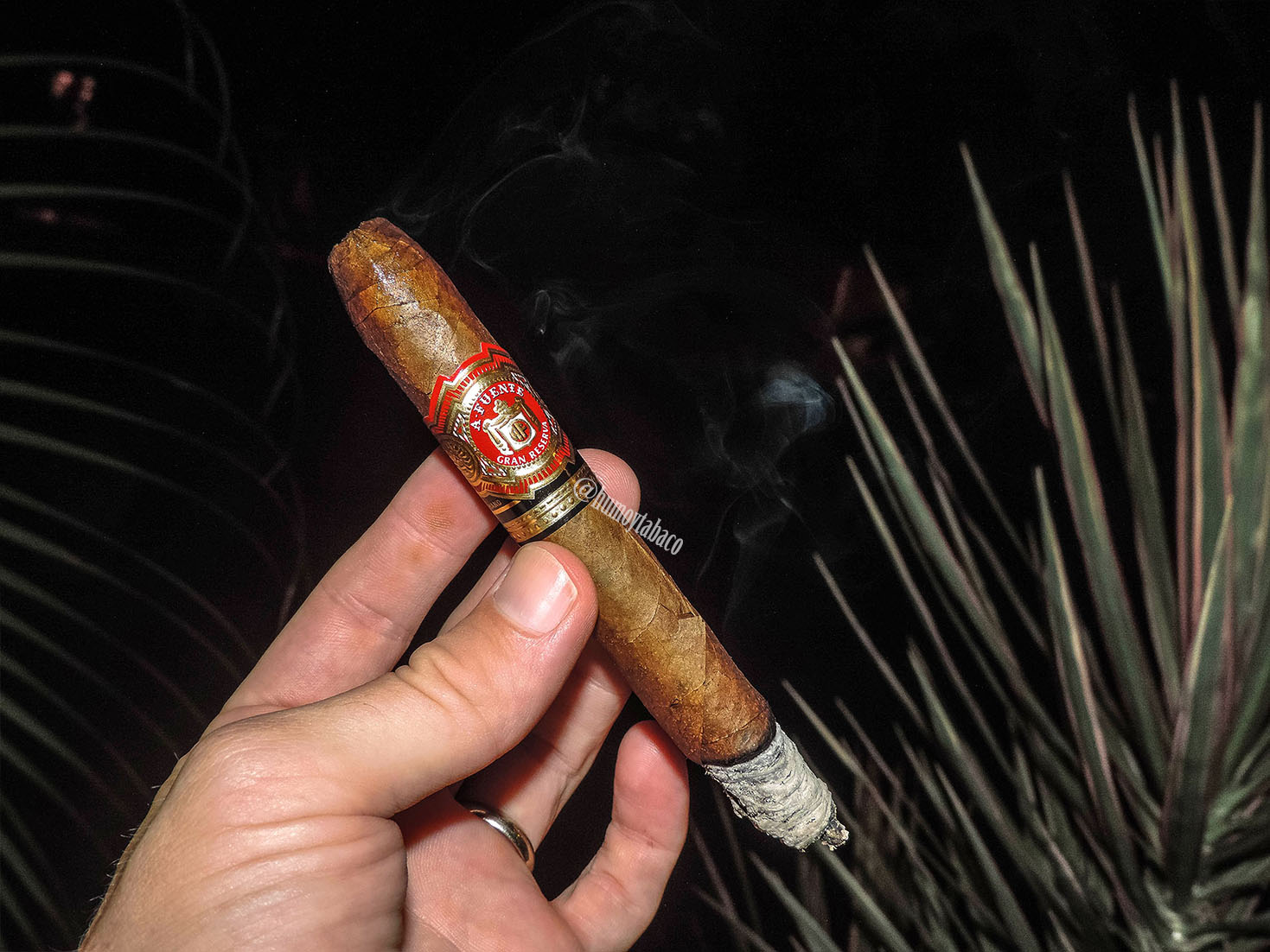 Arturo Fuente - Hemingway 03