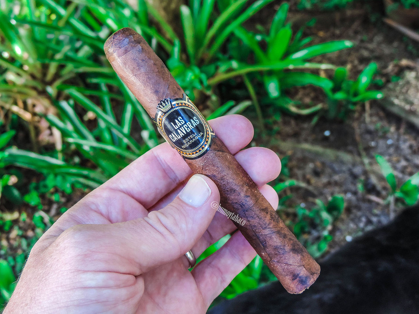 Crowned Heads - Las Calaveras 2017 01