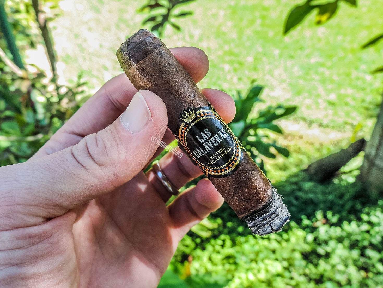 Crowned Heads - Las Calaveras 2017 05