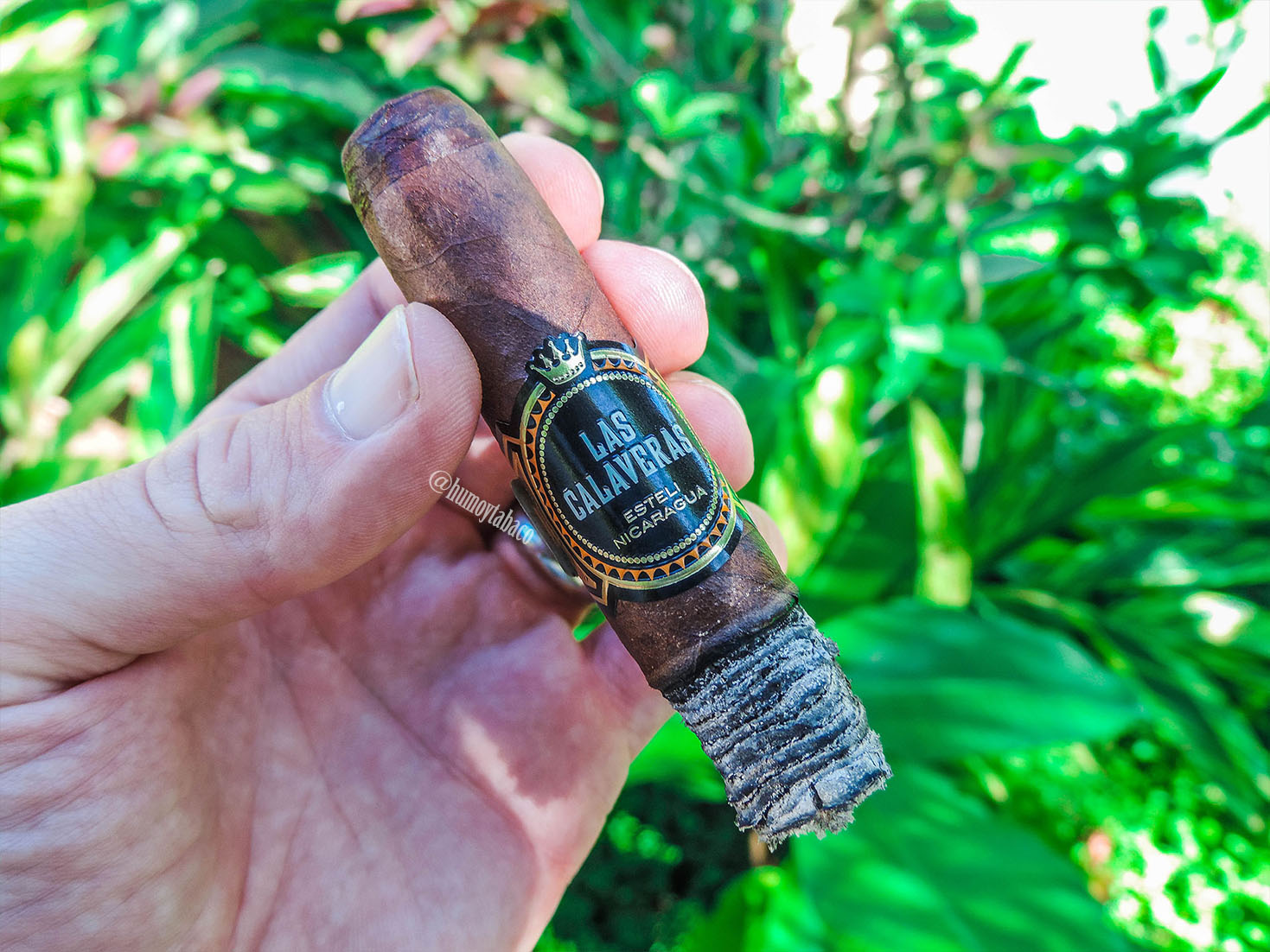 Crowned Heads - Las Calaveras 2017 06