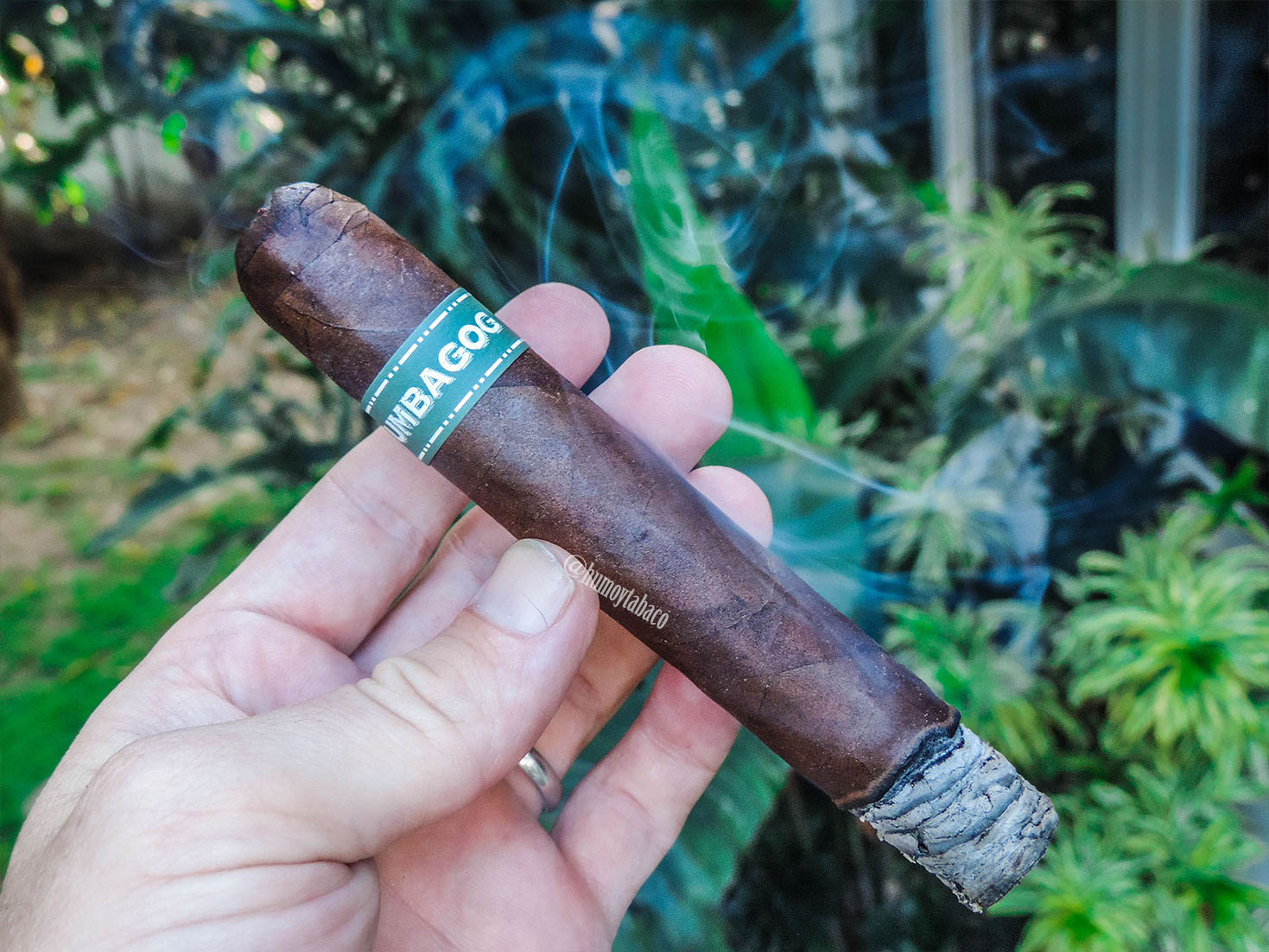 Dunbarton - Umbagog 02