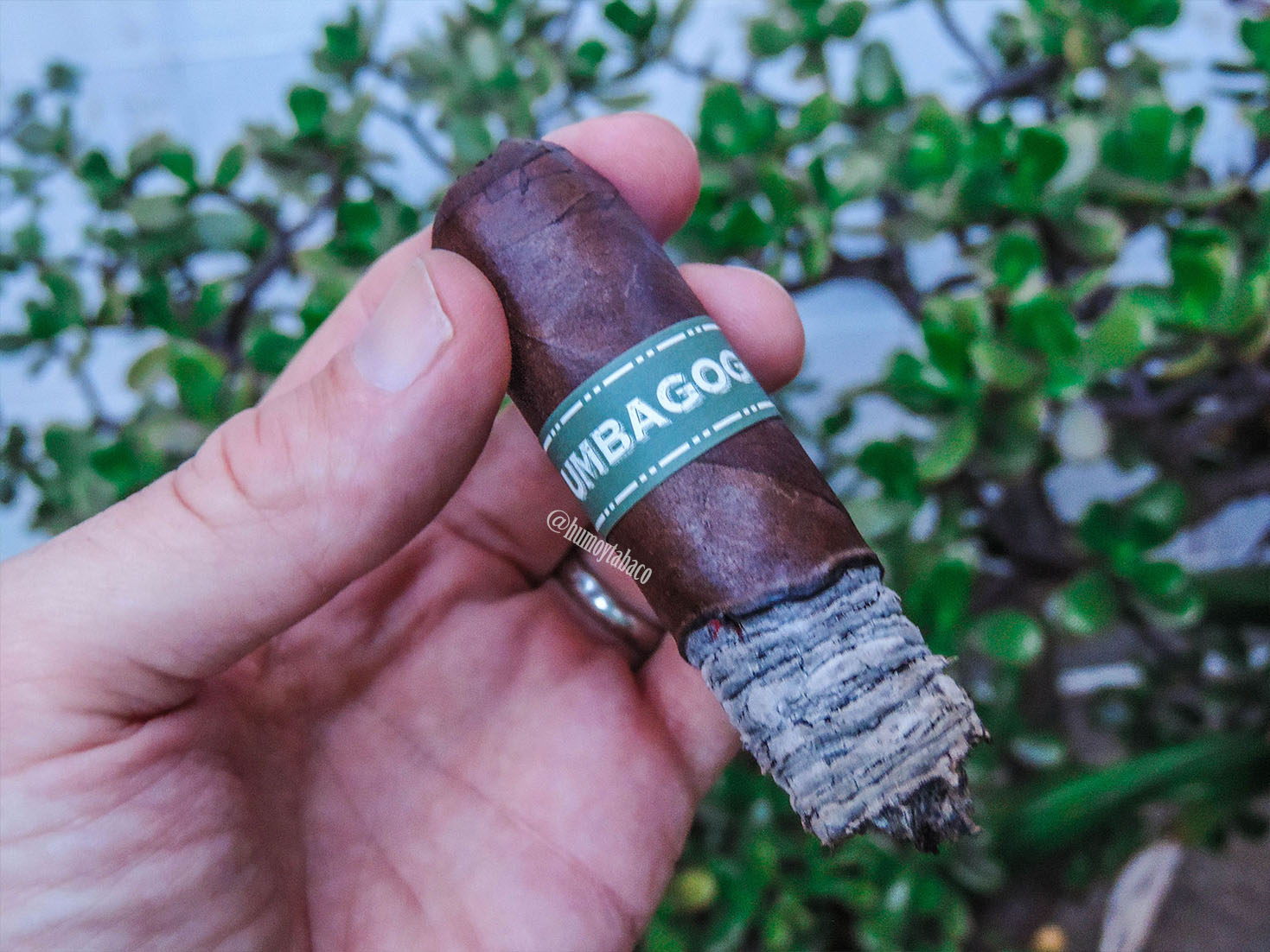 Dunbarton - Umbagog 05