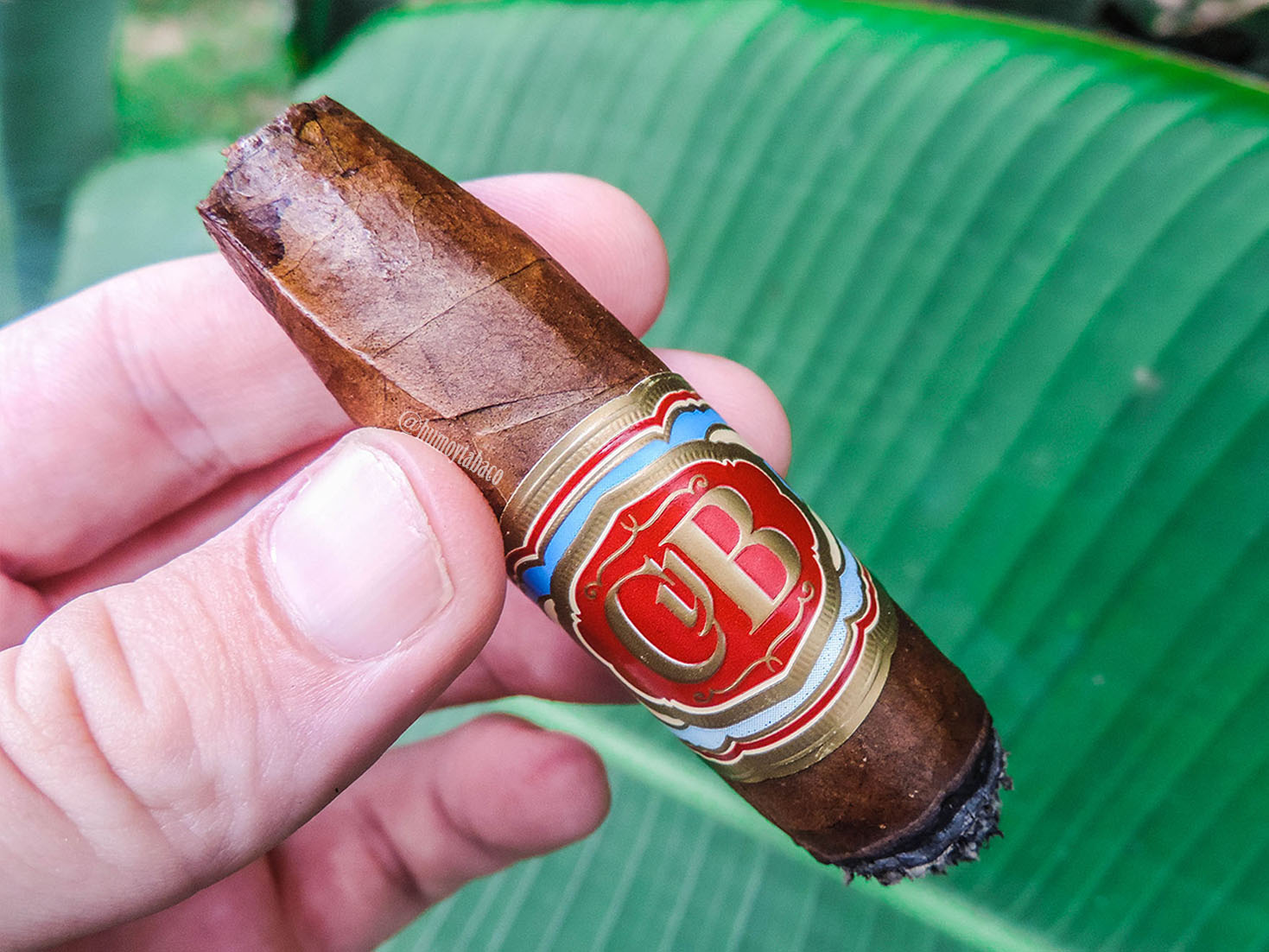 Joya de Nicaragua - CyB 05