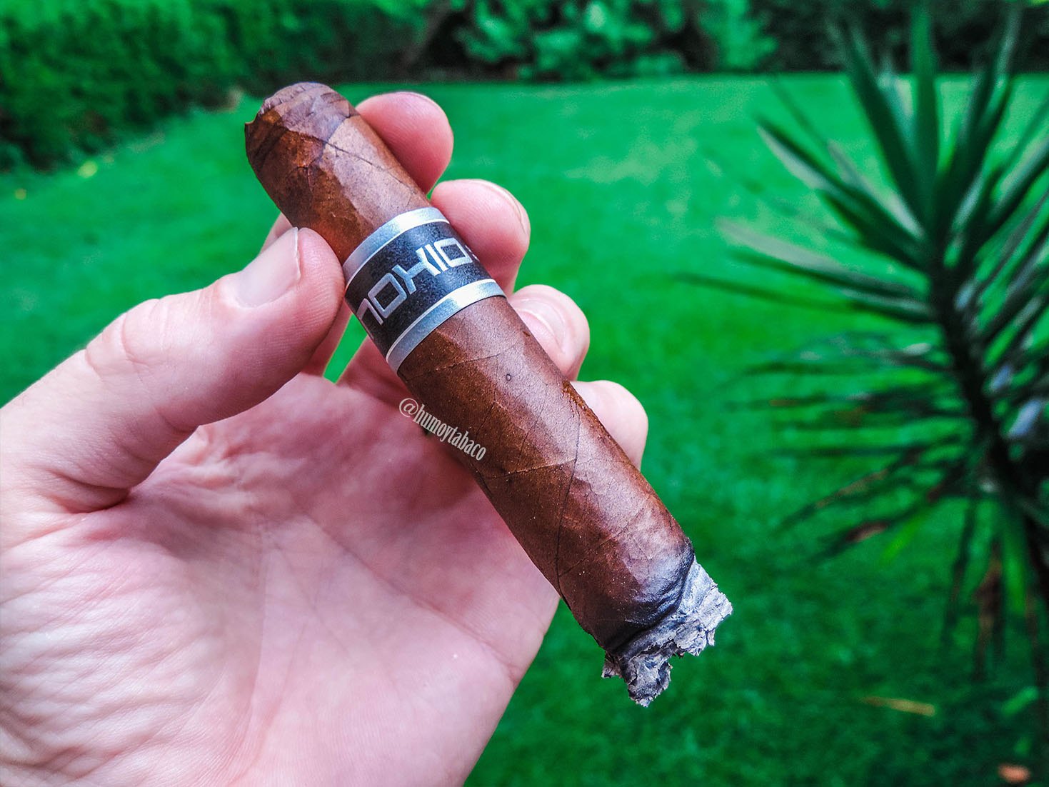 Noxio - Robusto 04