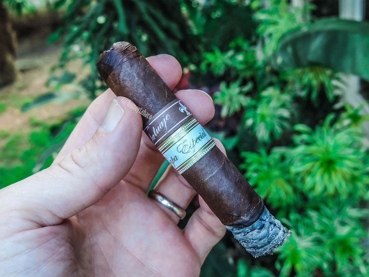Tatuaje - Capa Especial 04