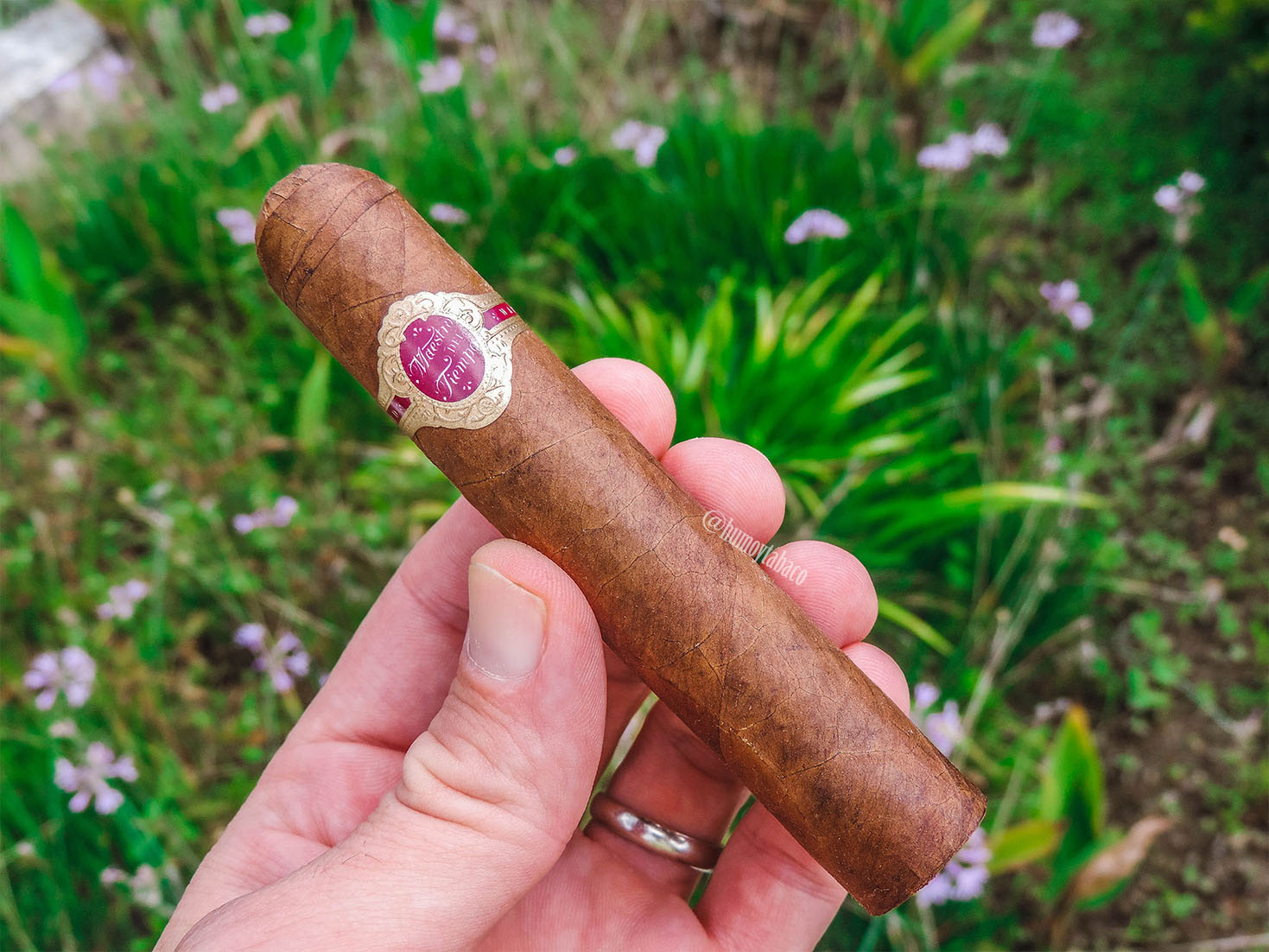 Warped - Maestro del Tiempo 01