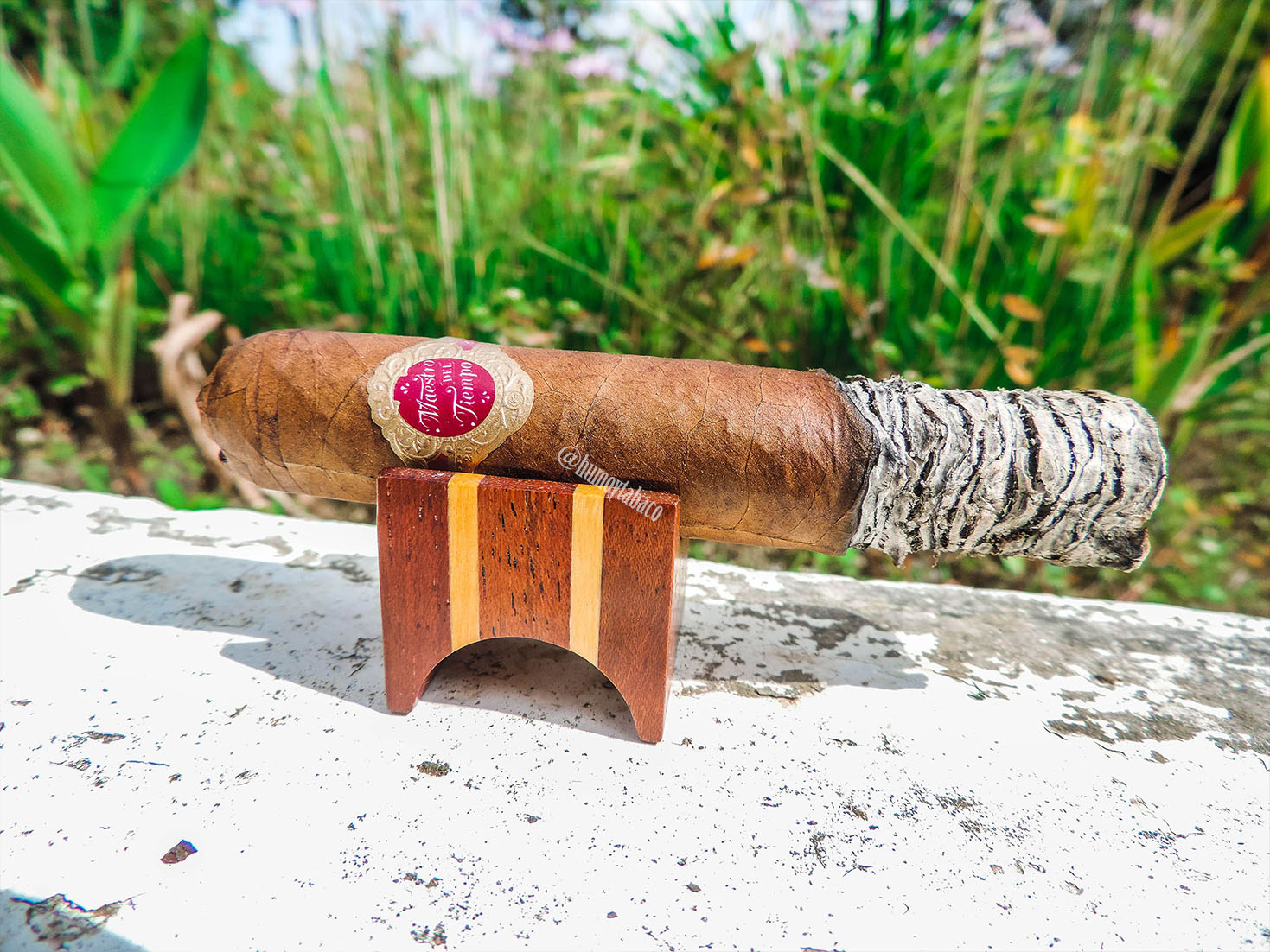 Warped - Maestro del Tiempo 03