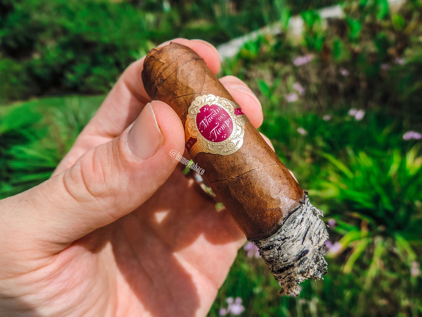 Warped - Maestro del Tiempo 04