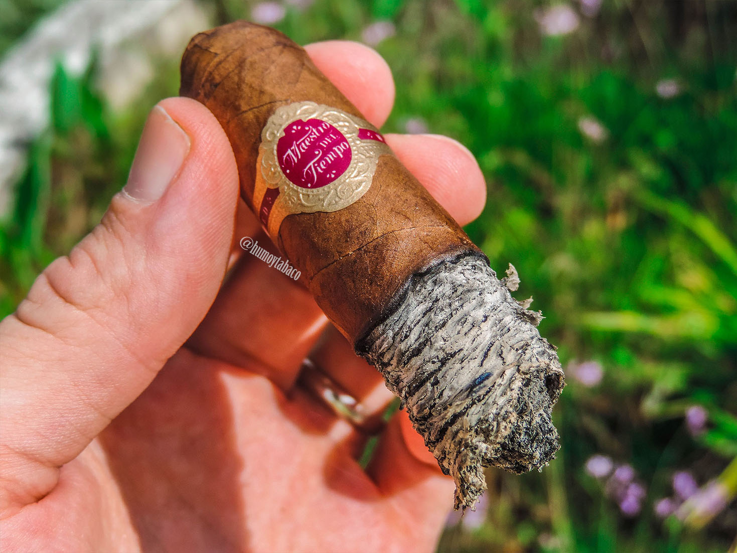 Warped - Maestro del Tiempo 05