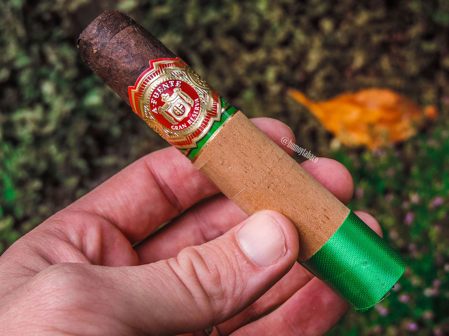 Arturo Fuente - Chateau Maduro 01