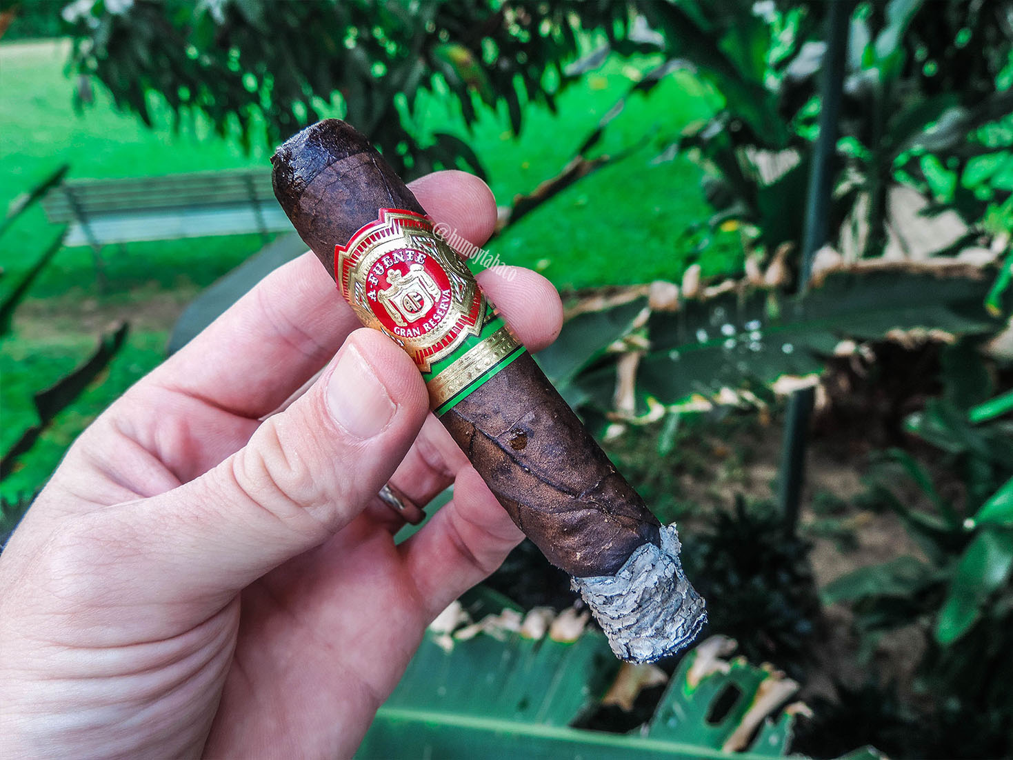 Arturo Fuente - Chateau Maduro 03