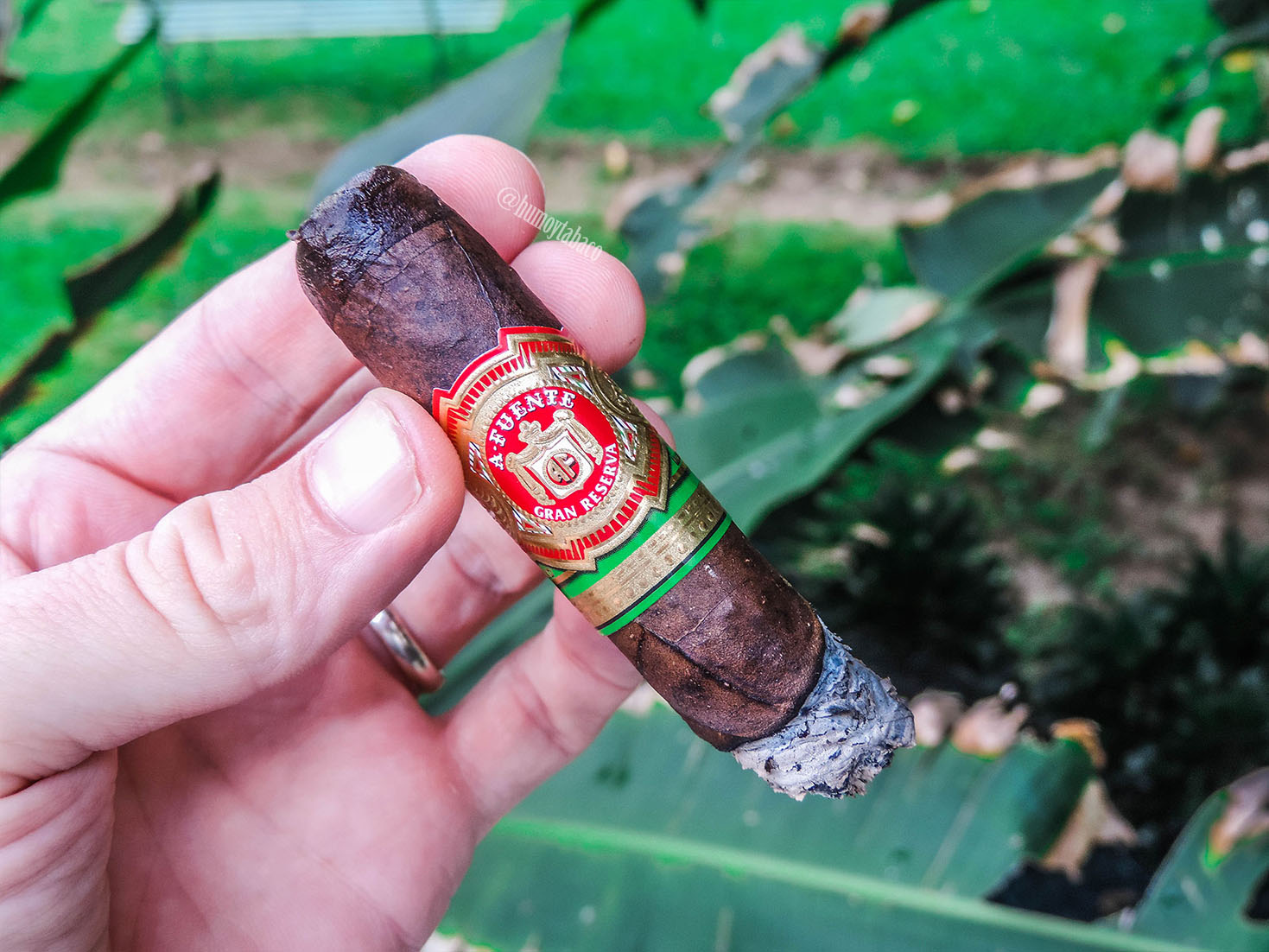 Arturo Fuente - Chateau Maduro 04