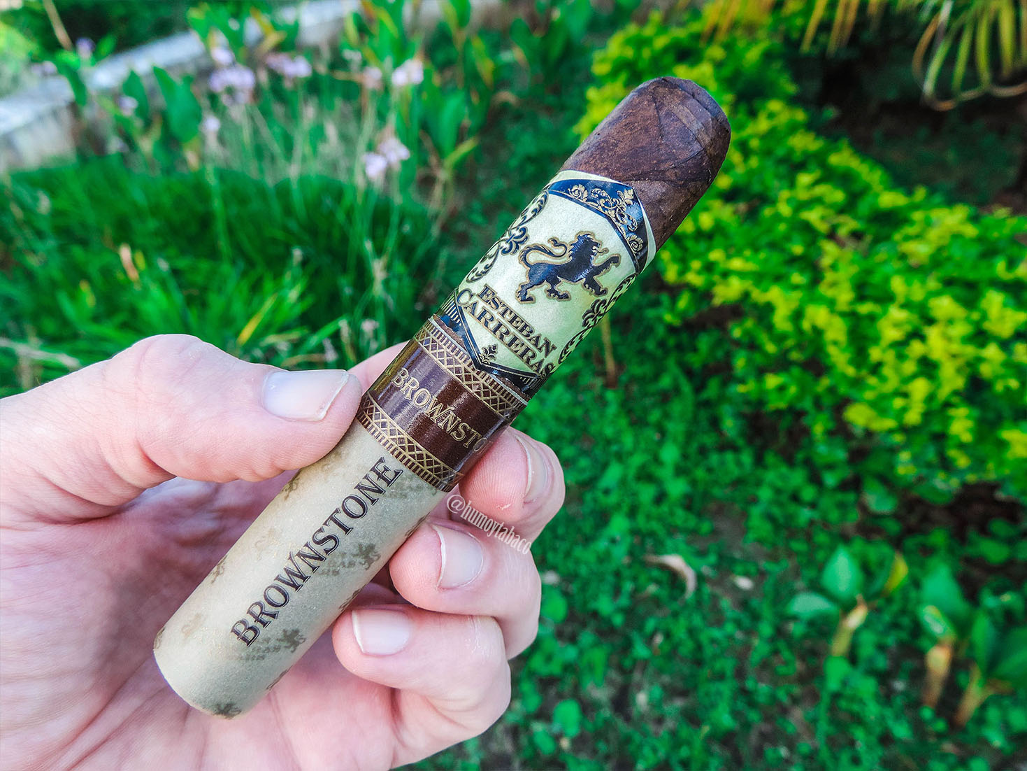 Esteban Carreras - Mr. Brownstone 01