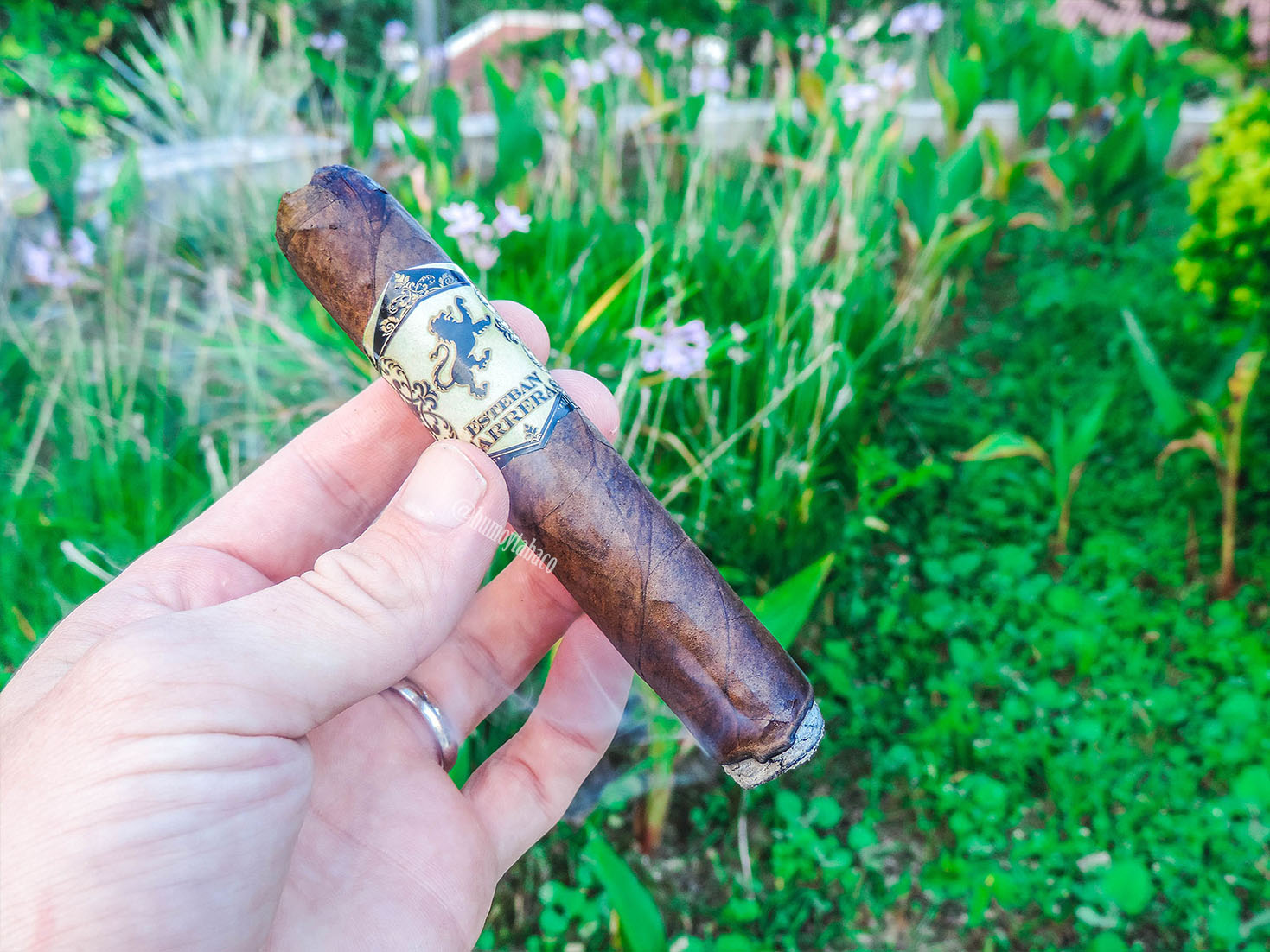 Esteban Carreras - Mr. Brownstone 03