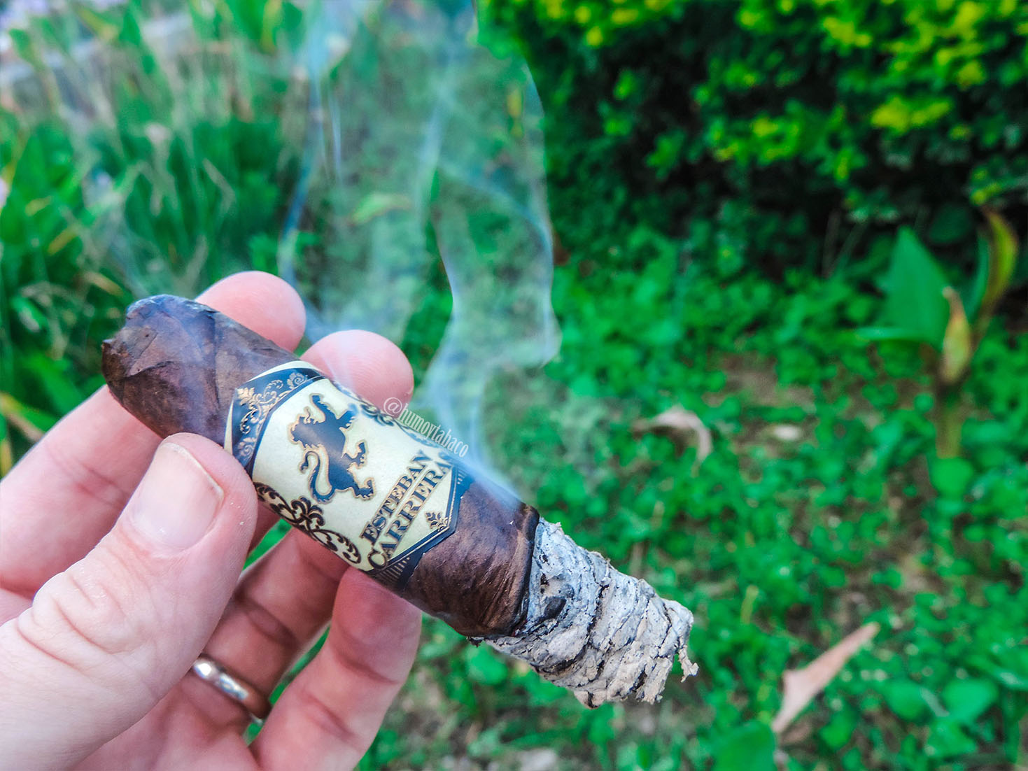 Esteban Carreras - Mr. Brownstone 05