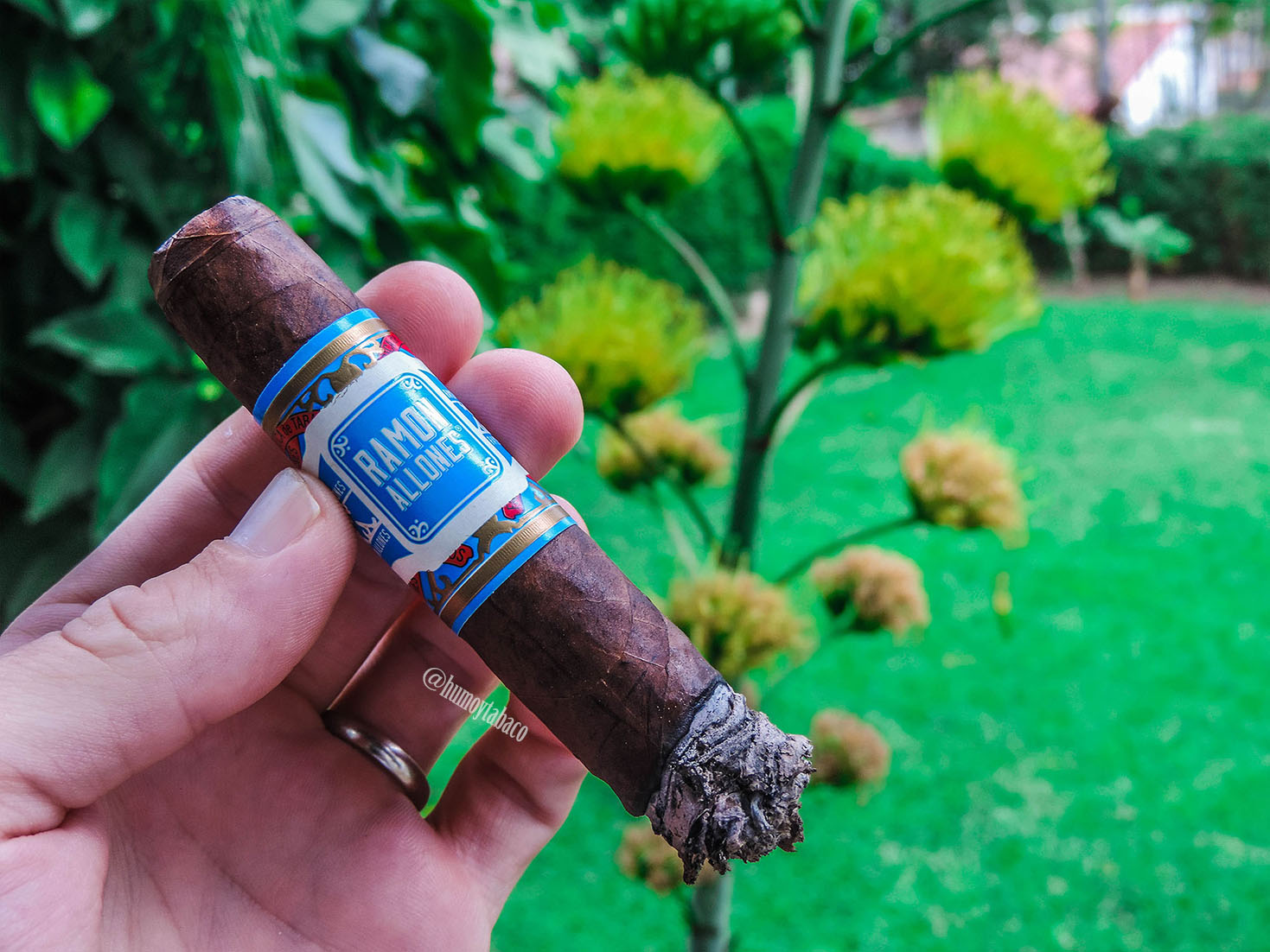 Foundry - Ramon Allones Heritage 04