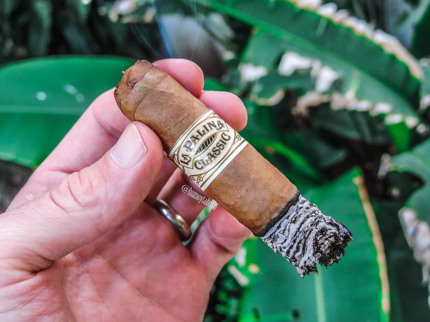 La Palina - Classic 06