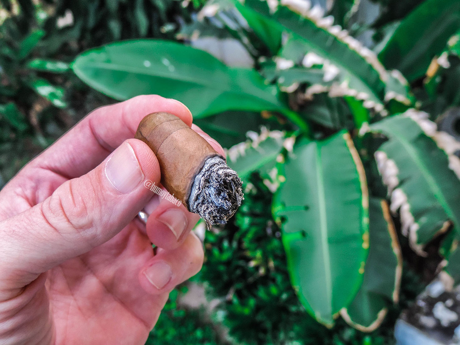 La Palina - Classic 07