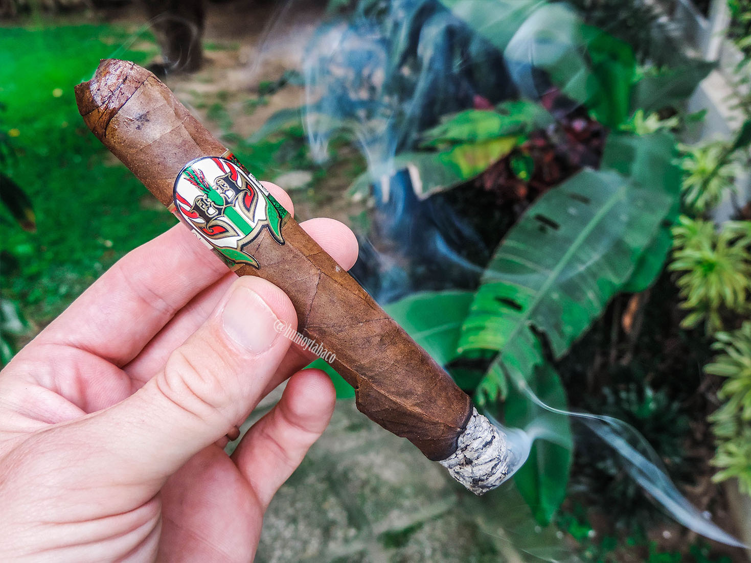 Leccia - Luchador 02