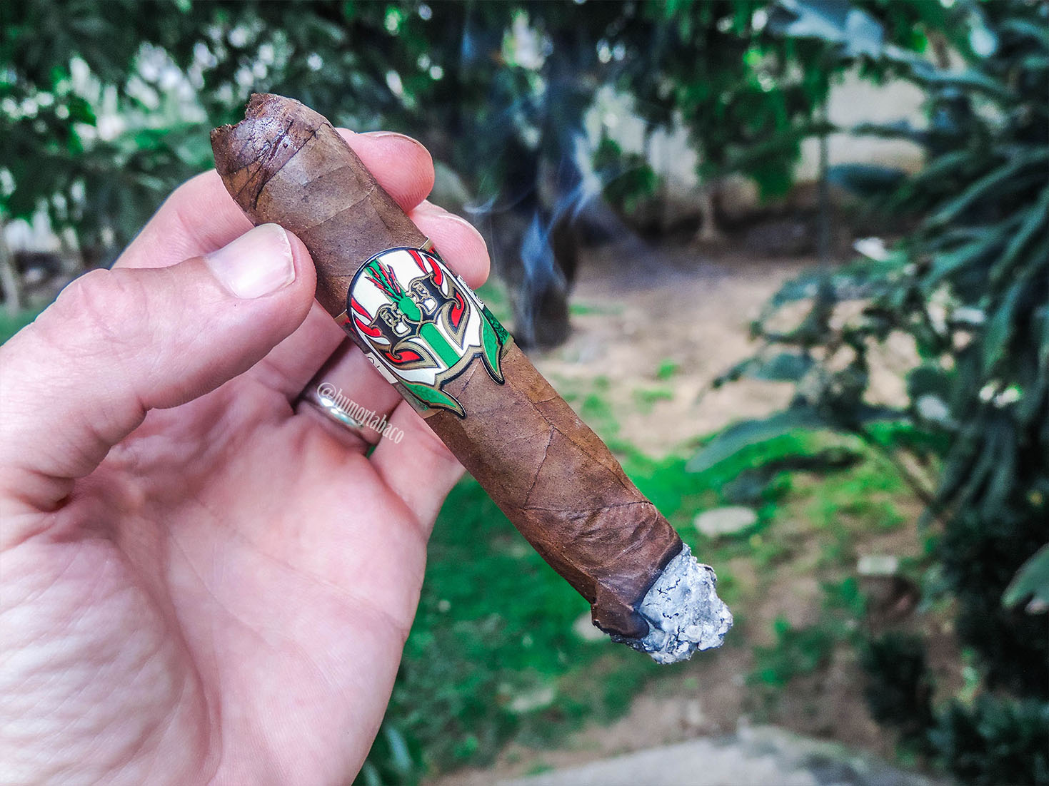 Leccia - Luchador 03