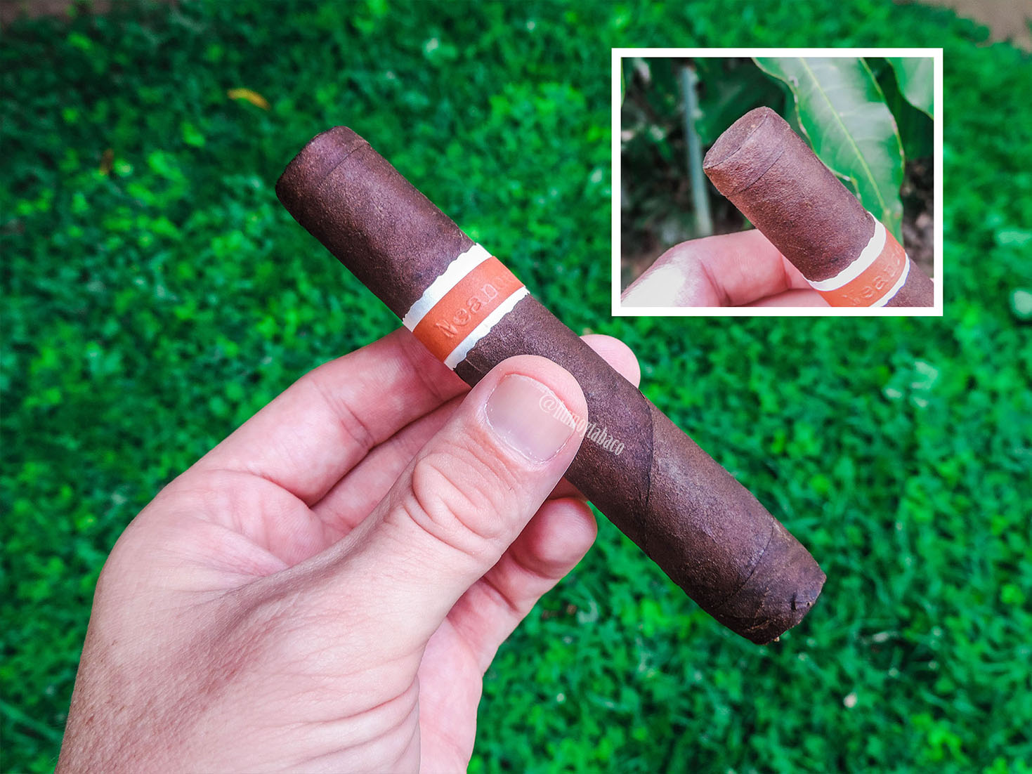 Roma Craft - Neanderthal 01