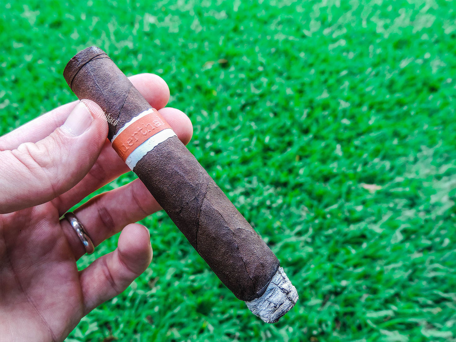 Roma Craft - Neanderthal 02