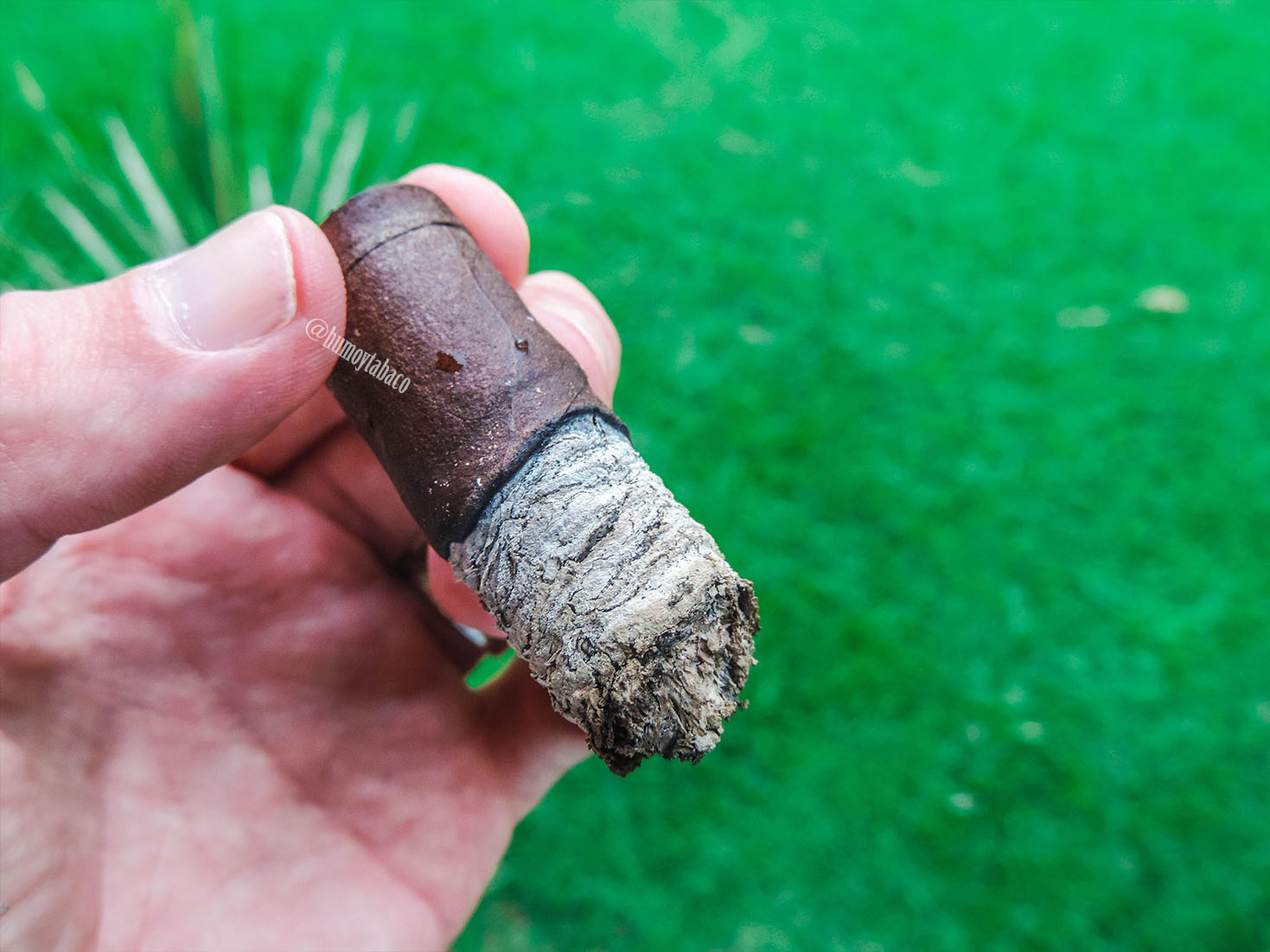 Roma Craft - Neanderthal 06