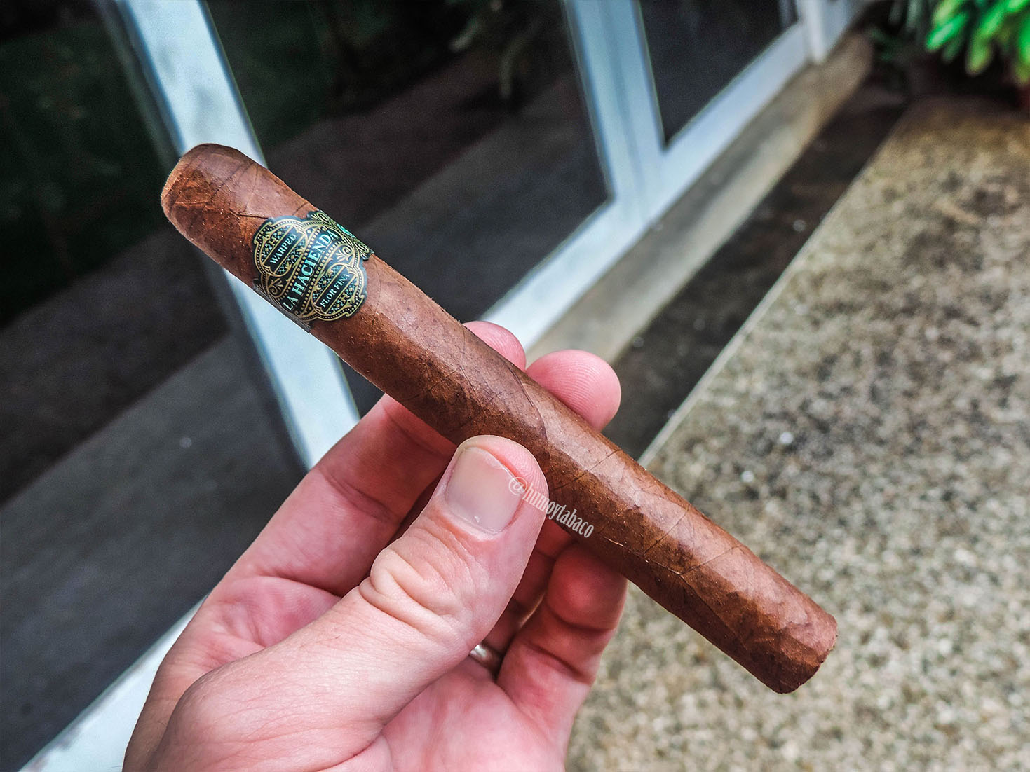 Warped - La Hacienda 01