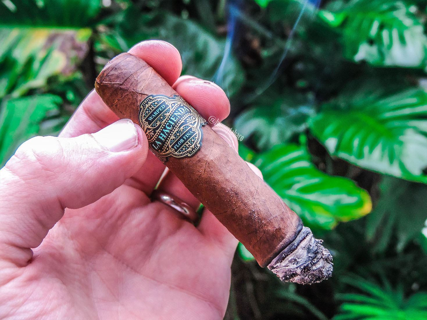 Warped - La Hacienda 06